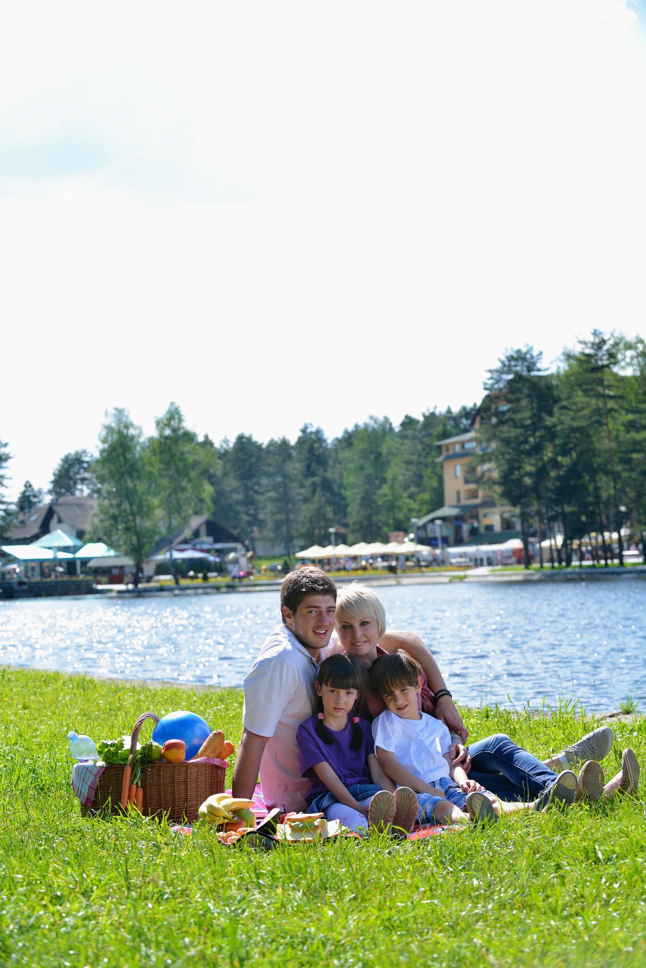 Happy family playing together in a picnic outdoors Stock Free