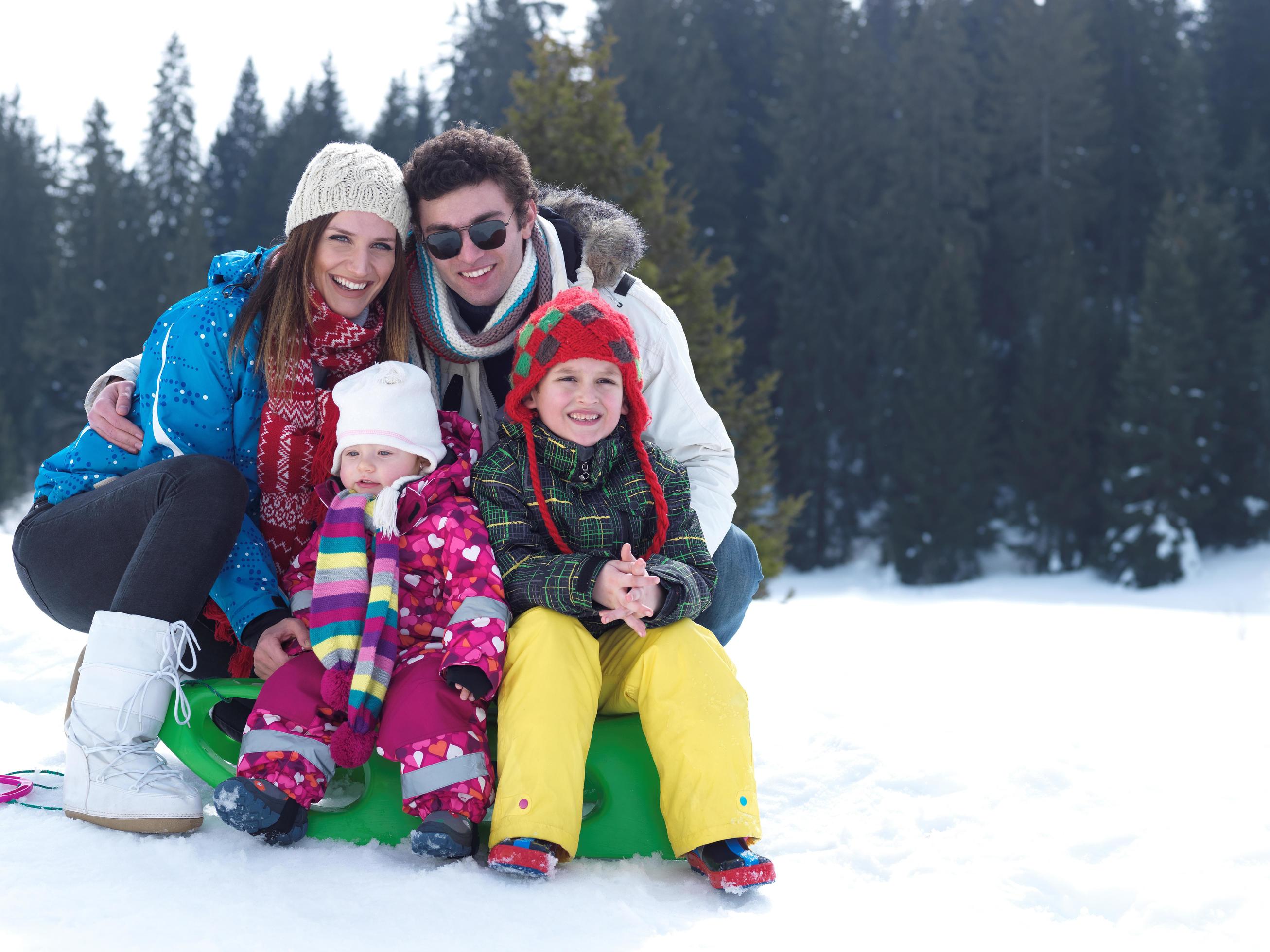 Winter family view Stock Free