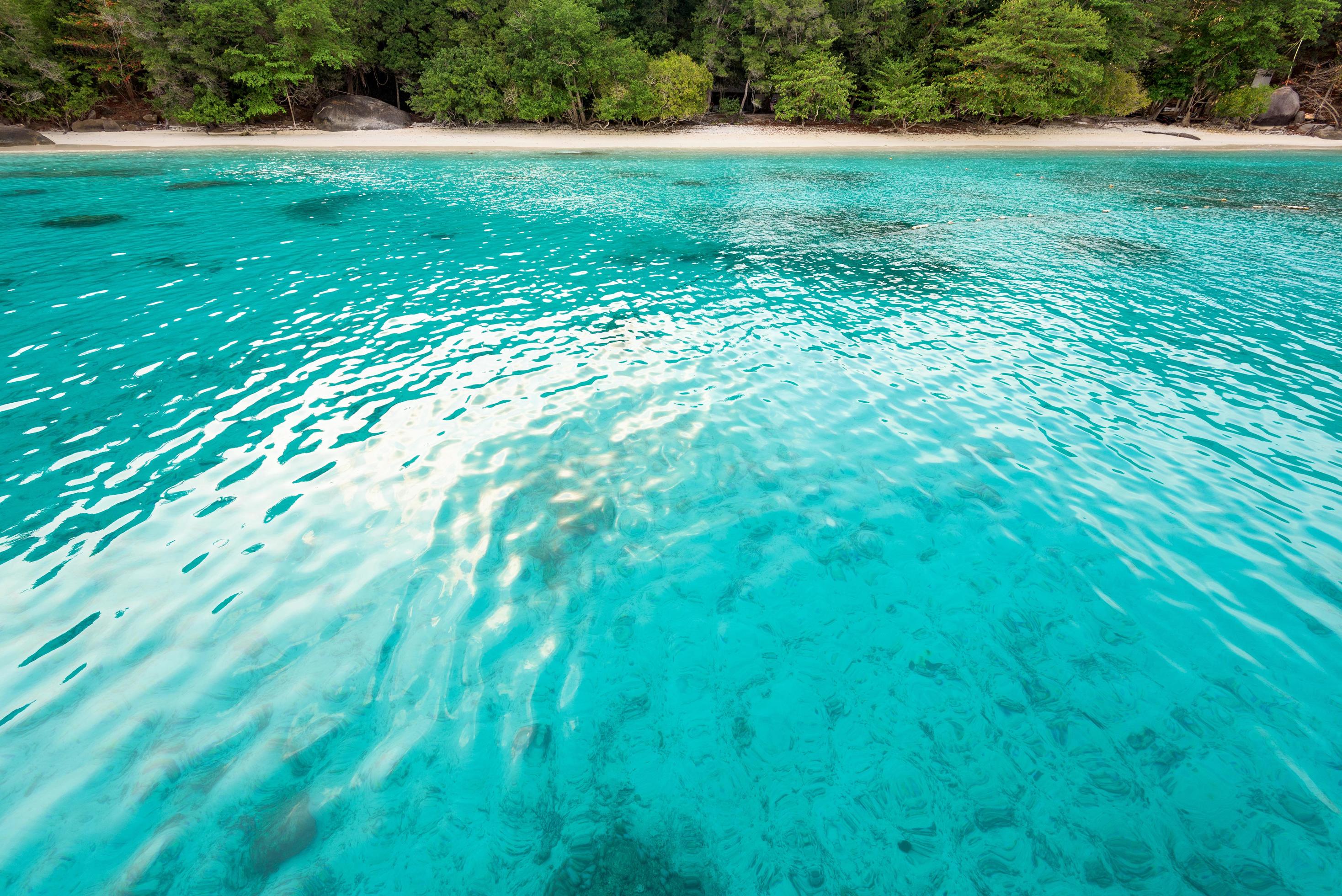 Honeymoon Bay and beach in Similan island, Thailand Stock Free