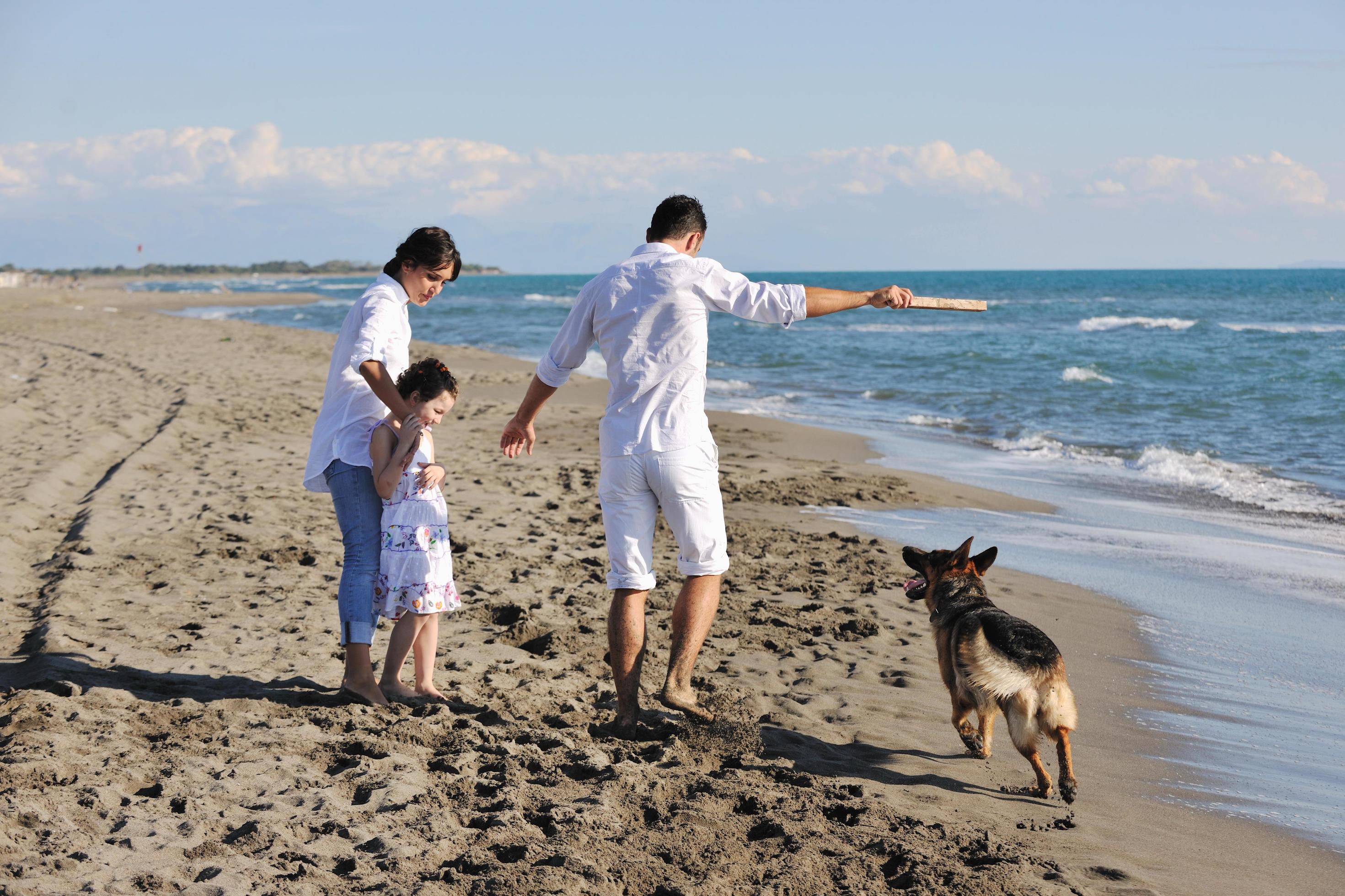 happy family playing with dog on beach Stock Free