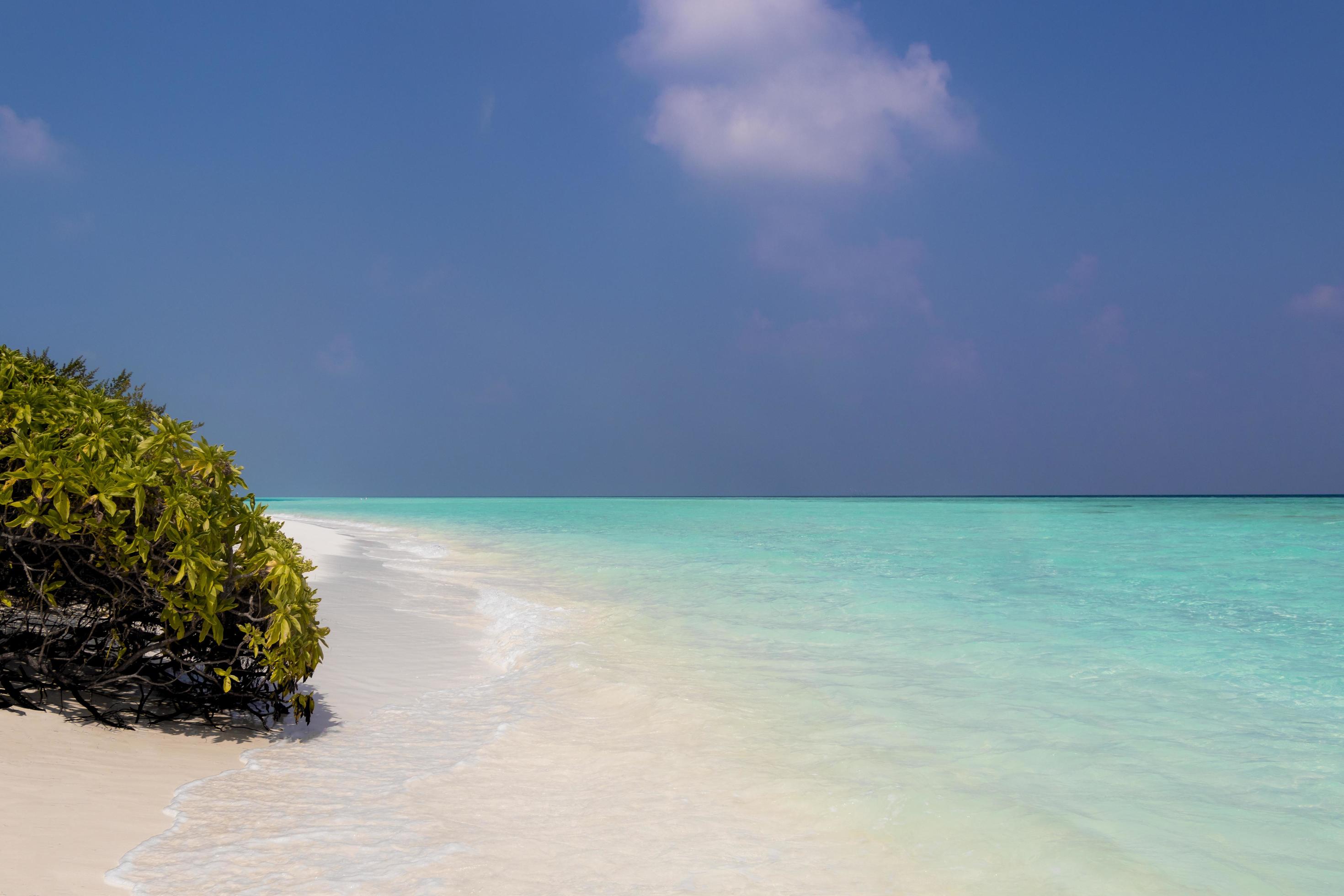 Natural tropical turquoise sandbank islands Madivaru Finolhu Rasdhoo Atoll Maldives. Stock Free