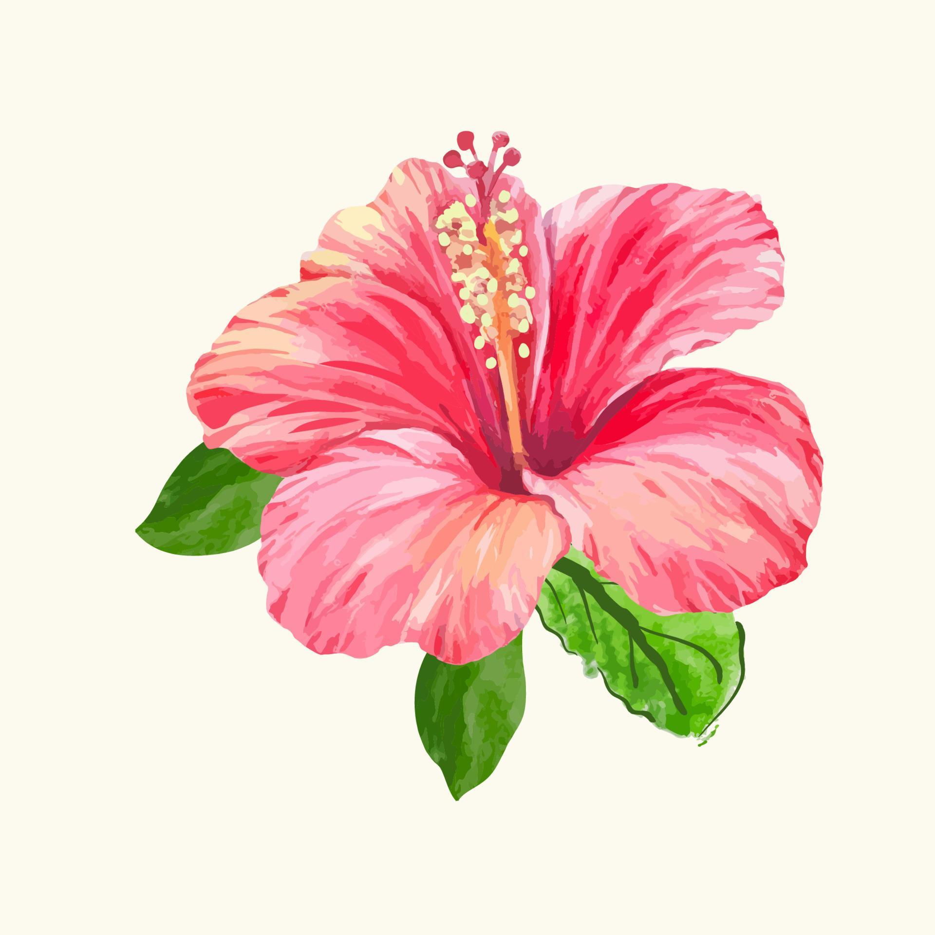 Illustration of flower watercolor. Vector design Stock Free