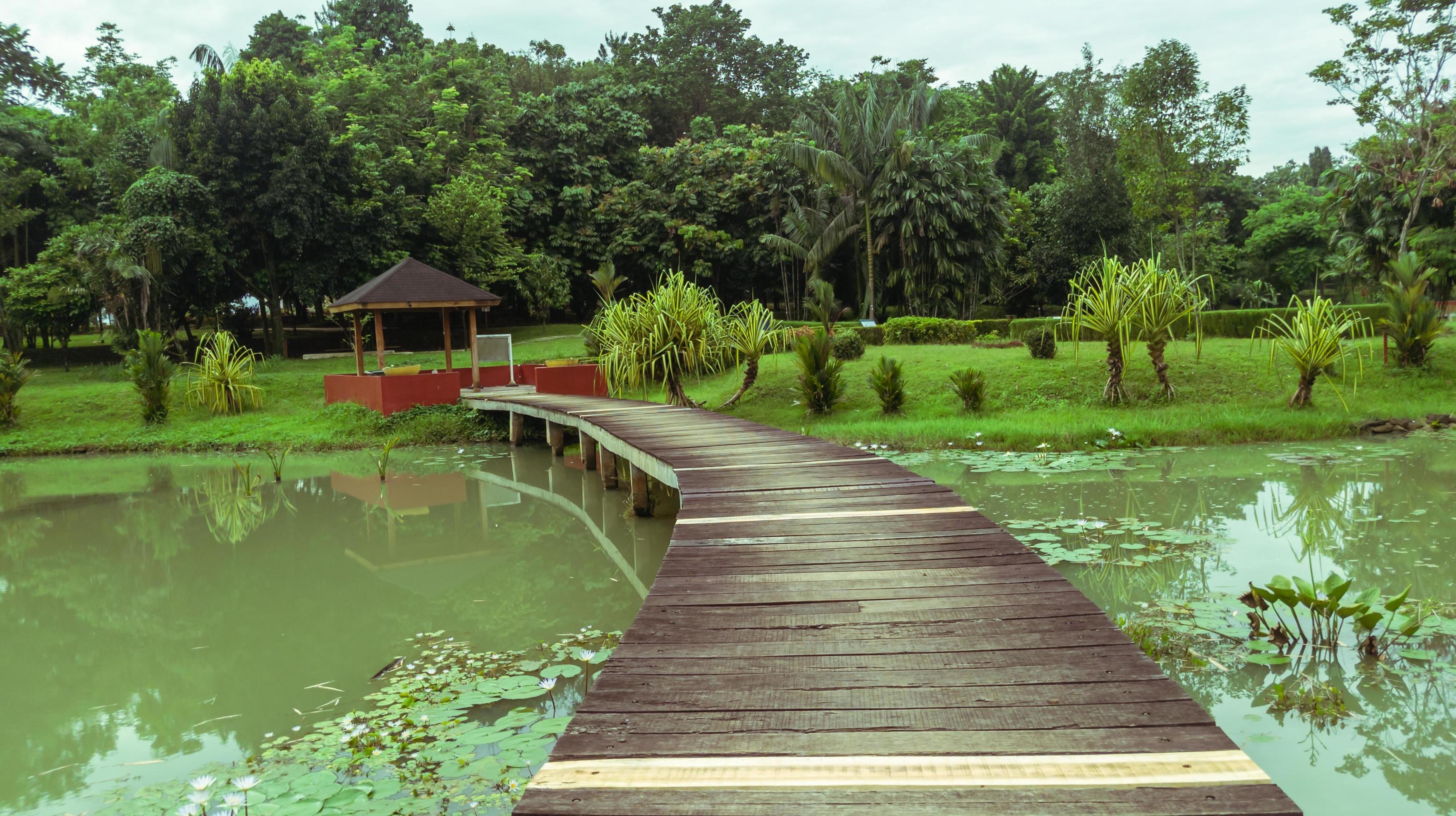 beautiful natural lanscape scenery, lake with wooden bridge, nature wallpaper, landscape background Stock Free