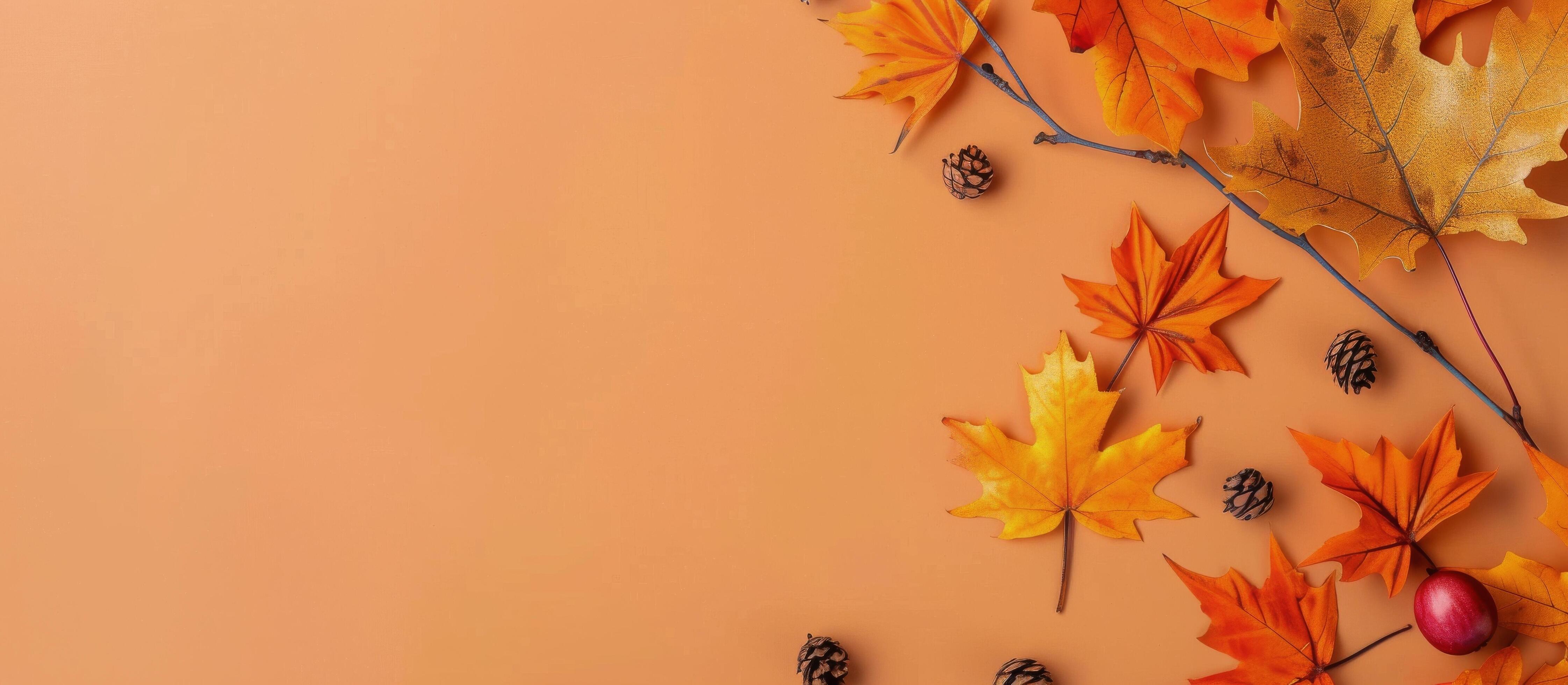 Autumn Leaves on Peach Background Stock Free