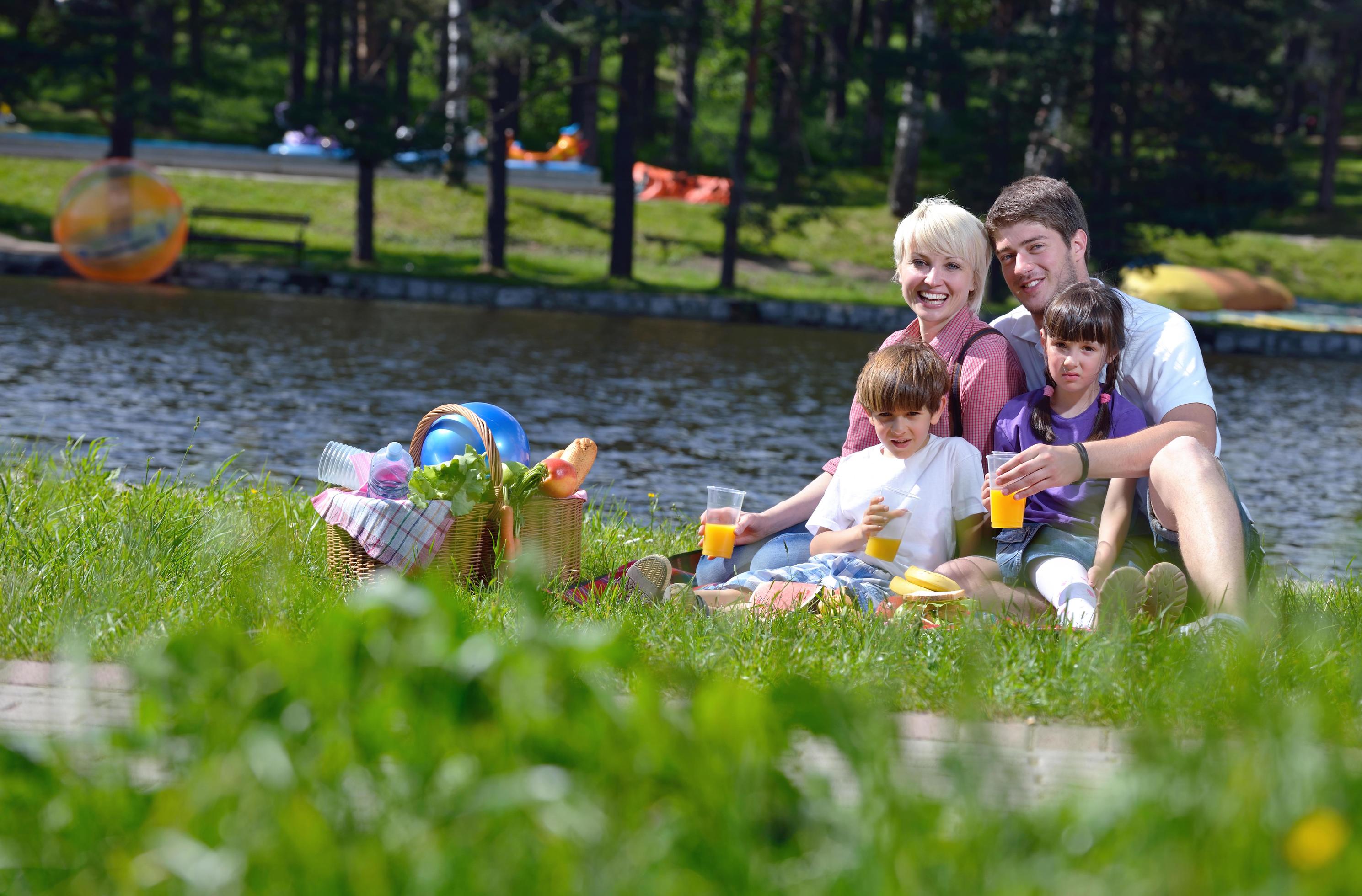 Happy family playing together in a picnic outdoors Stock Free