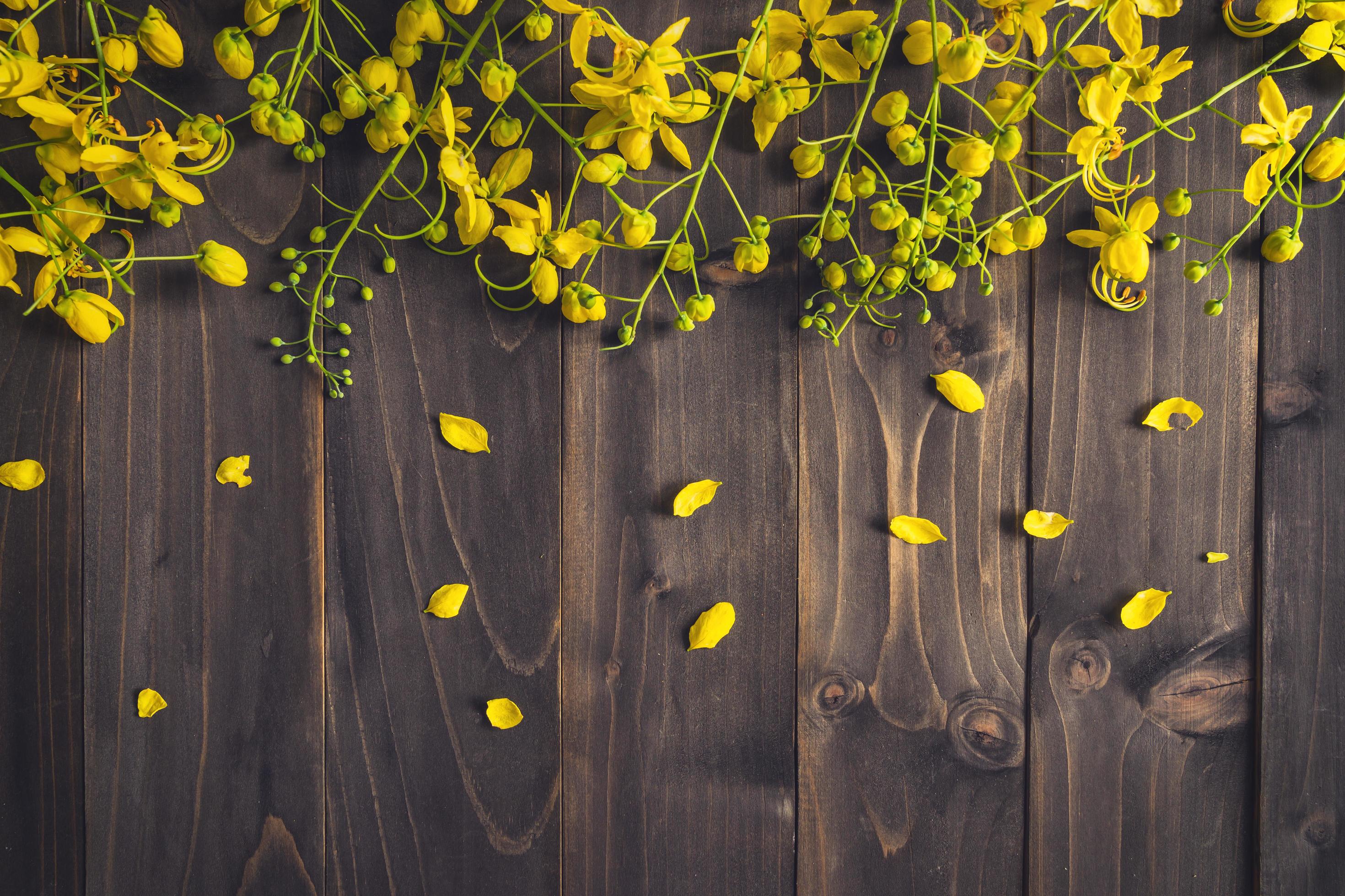 Yellow flower on wooden background with space with vintage toned. Stock Free