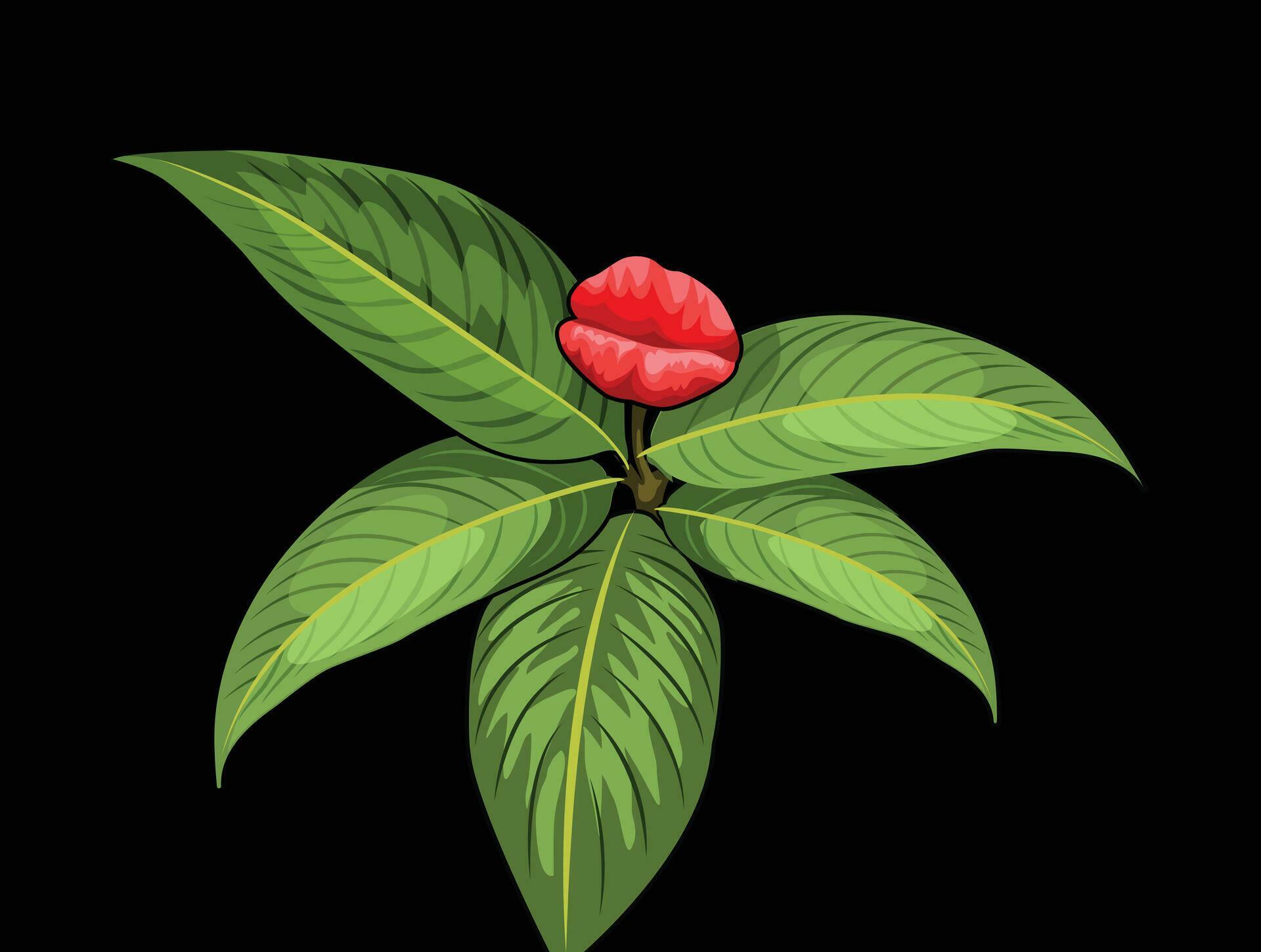 Psychotria Elata flower vector shape for background design. Stock Free