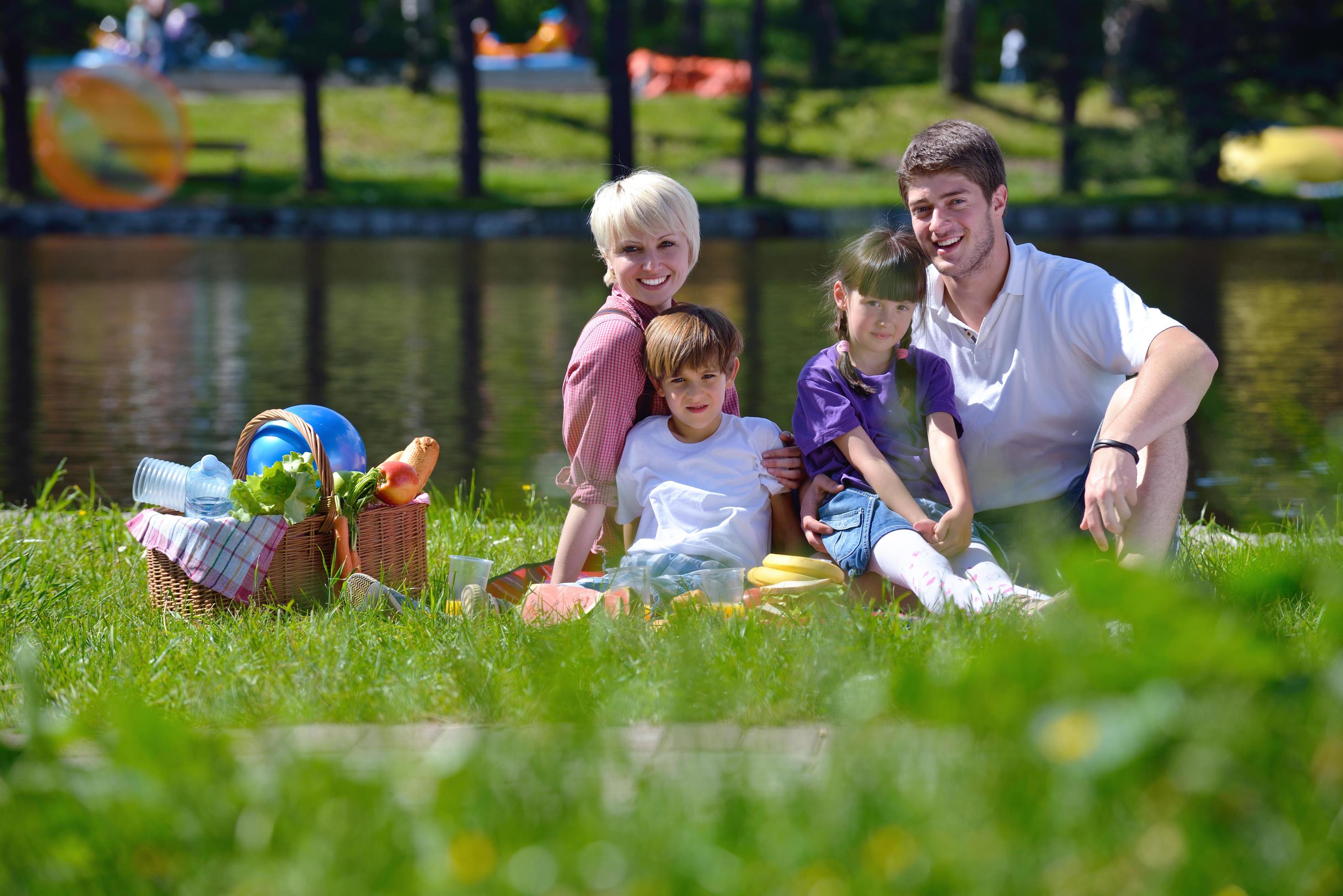 Happy family playing together in a picnic outdoors Stock Free