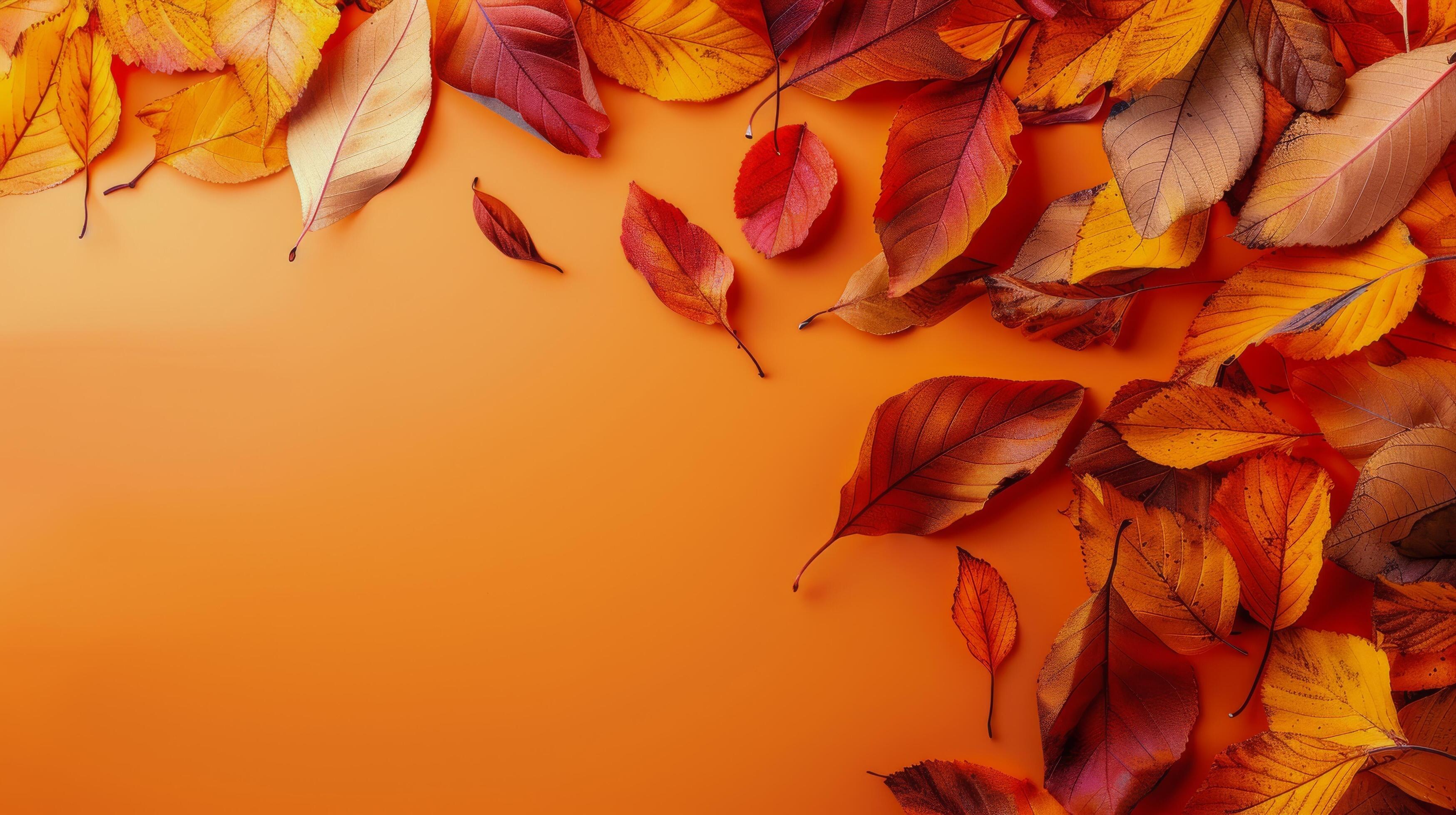 Fall Fruits and Leaves on Red Background Stock Free