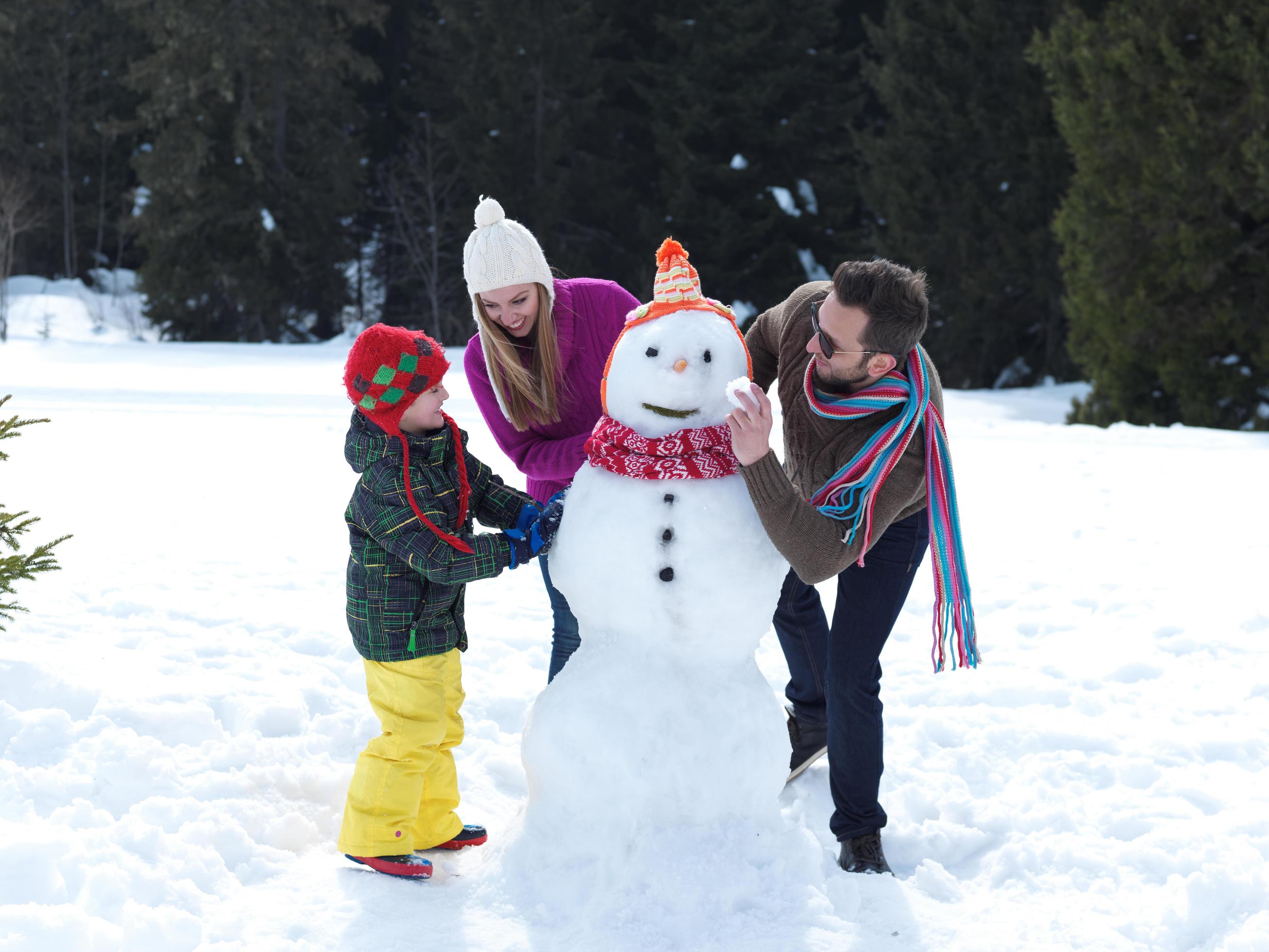 Winter family fun Stock Free