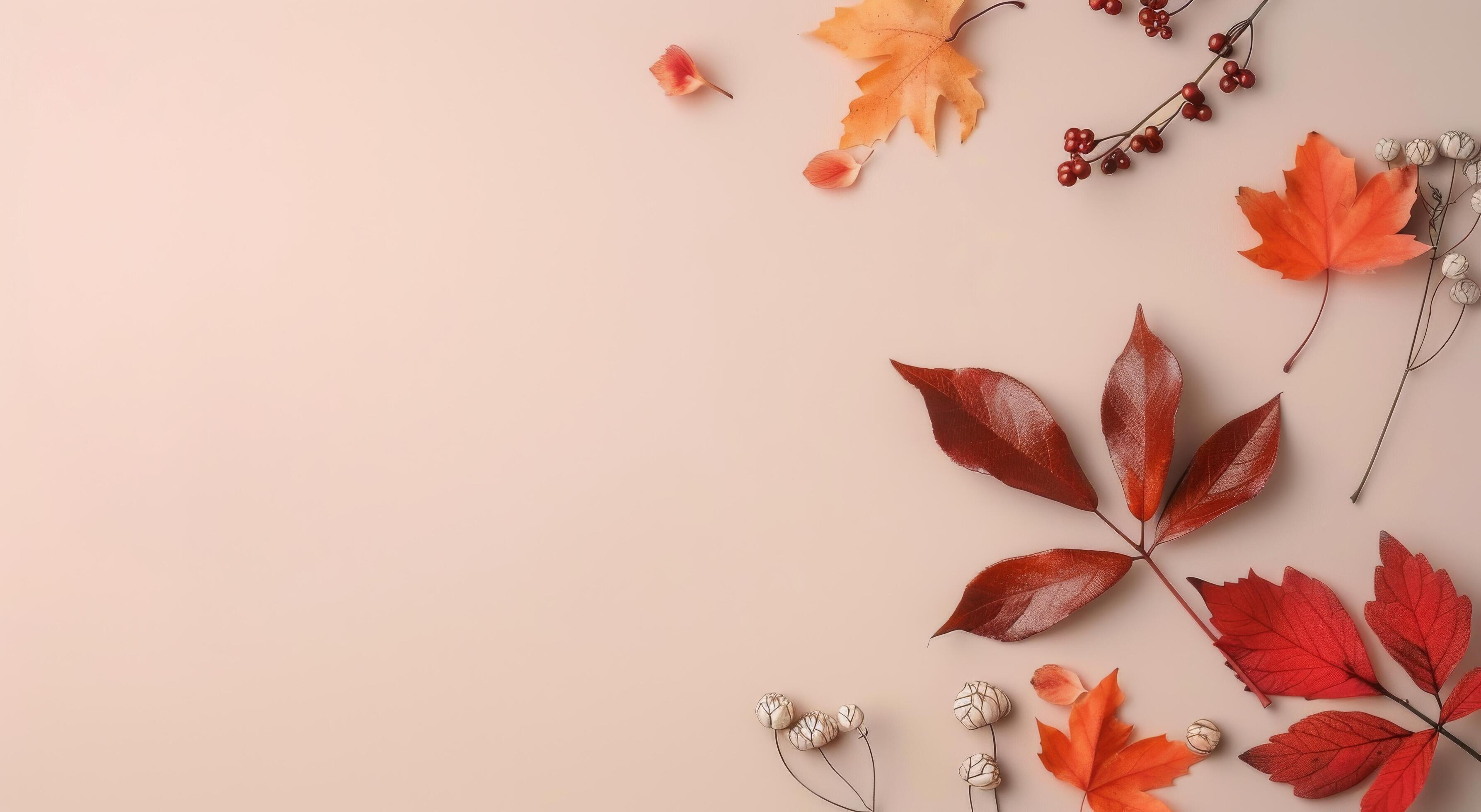 Autumnal Decor on Pink Background Stock Free