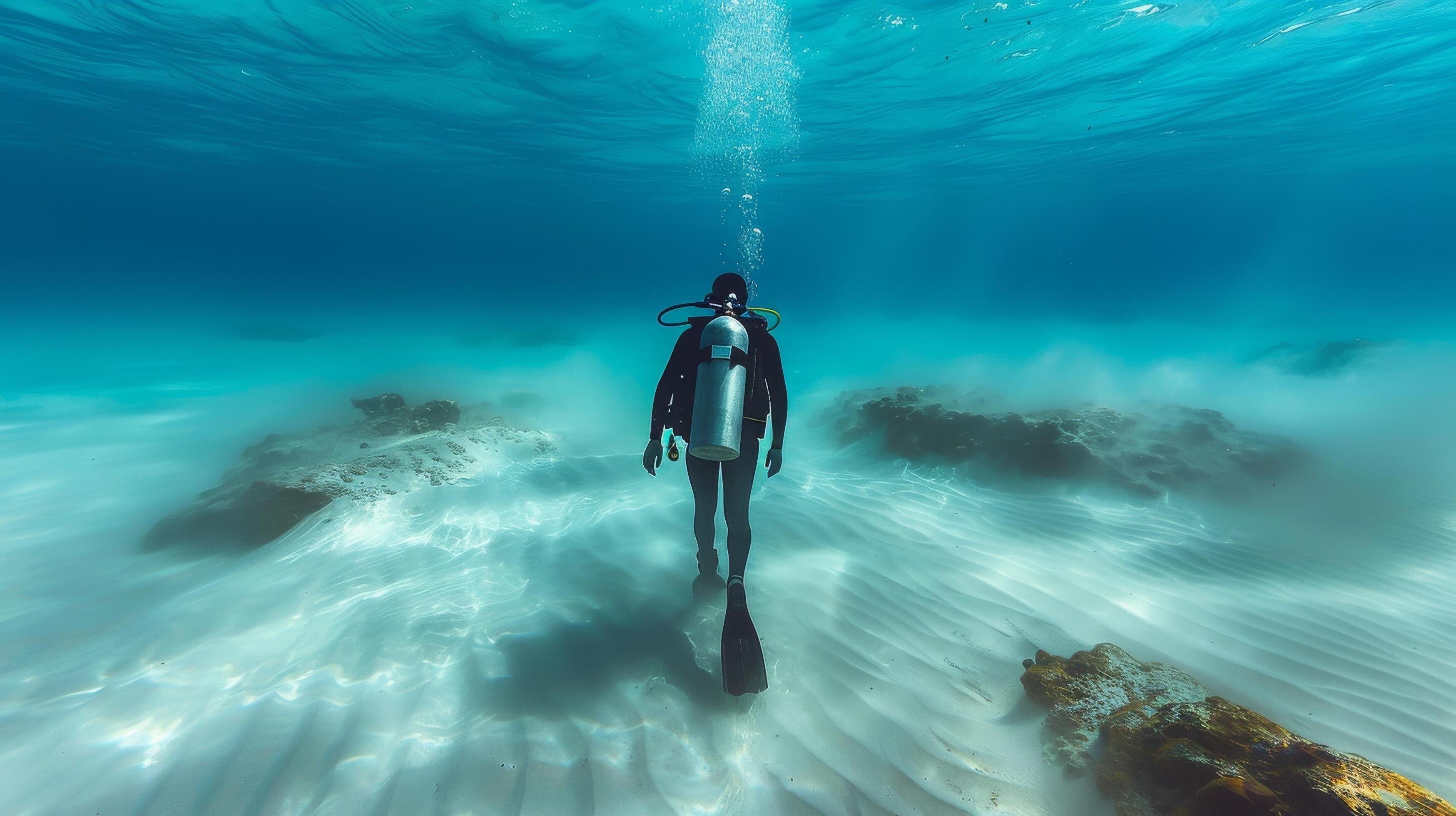 Man in Wet Suit Swimming in Ocean Stock Free