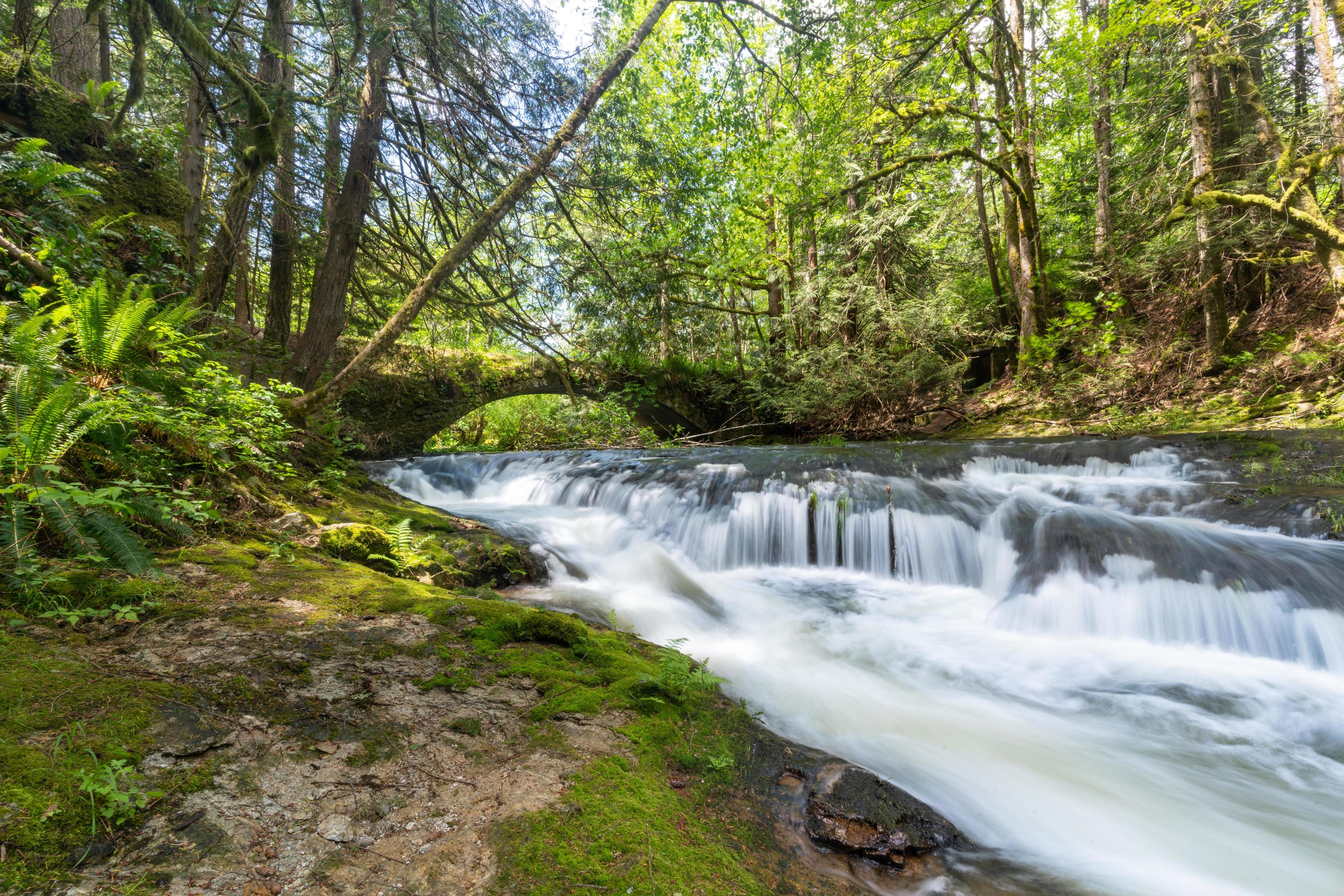 Bride waterfall on Vancouver Island Stock Free