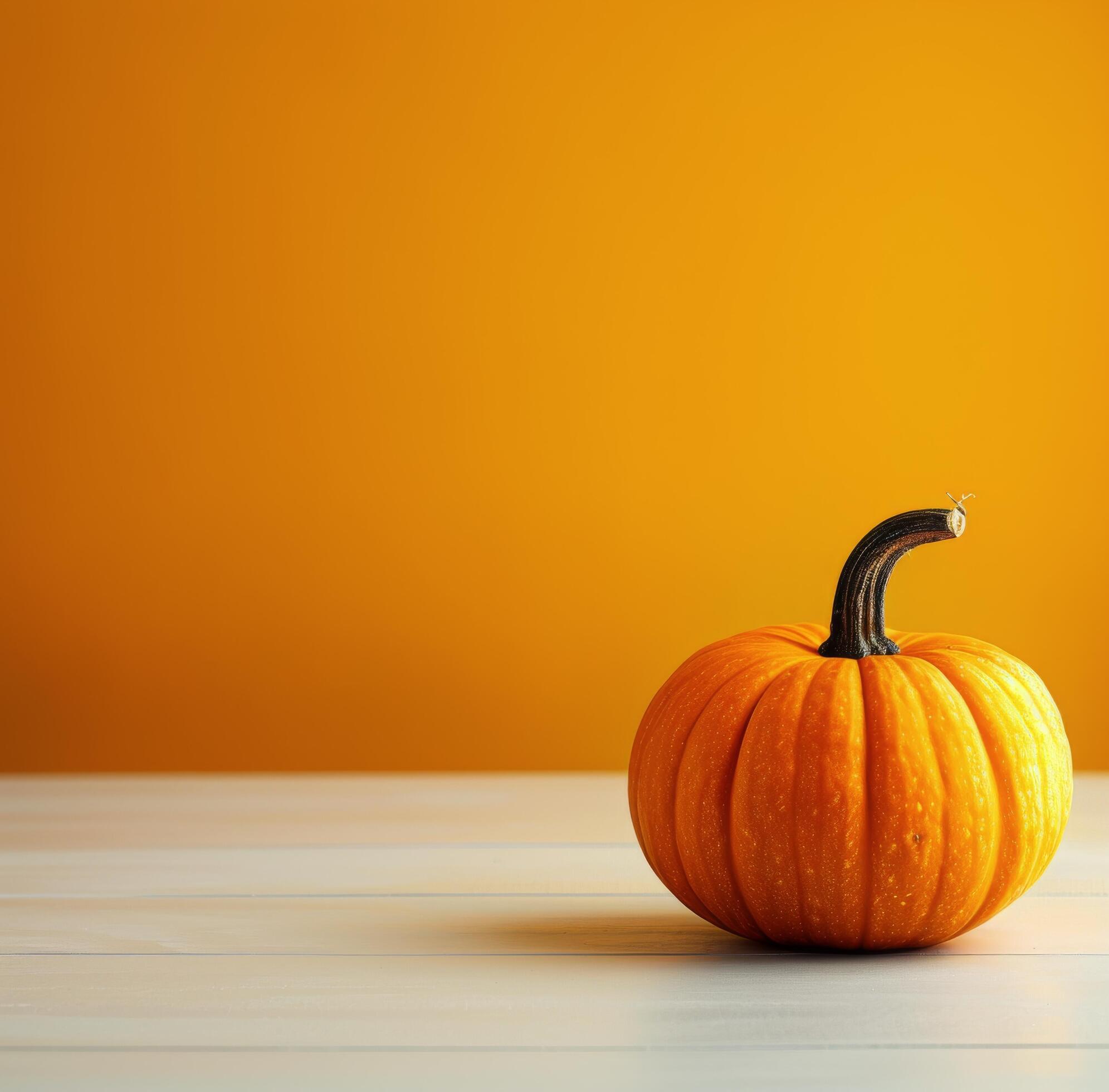 Single Pumpkin on White Table Against Orange Background Stock Free