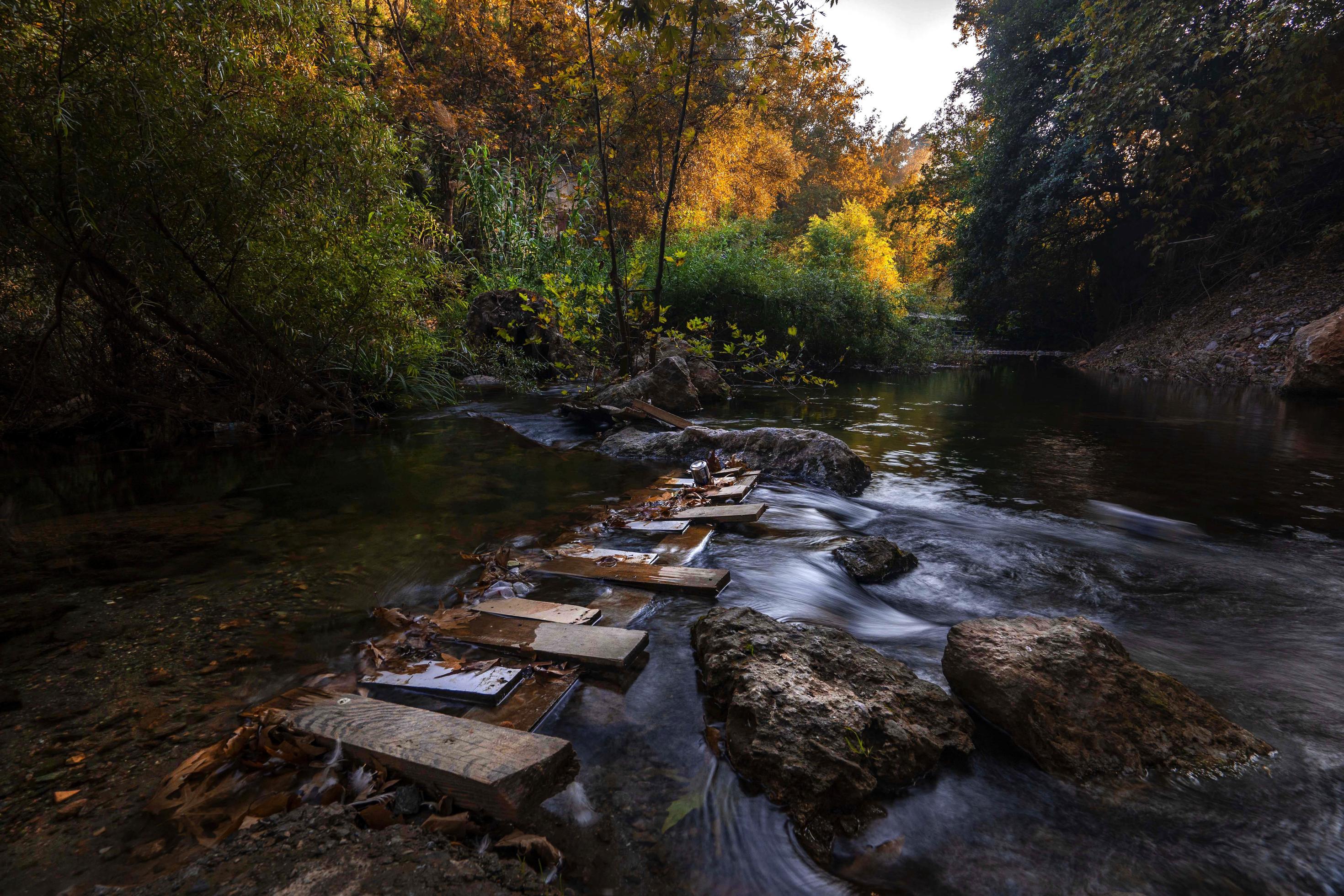 River Long Exposure with Surrounding Forest and Rocks Stock Free