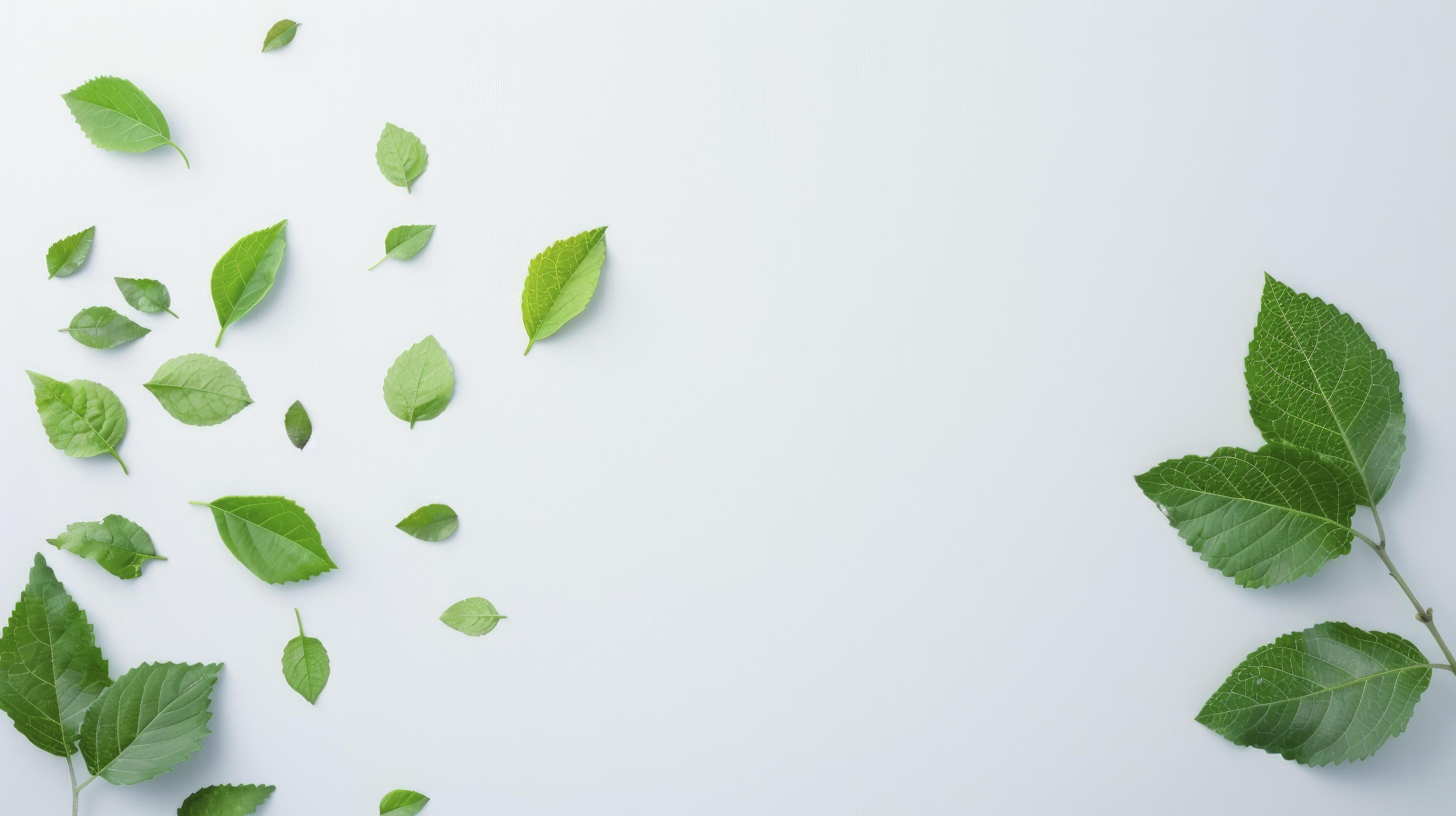 Green leaves flying in the air against a white background Stock Free