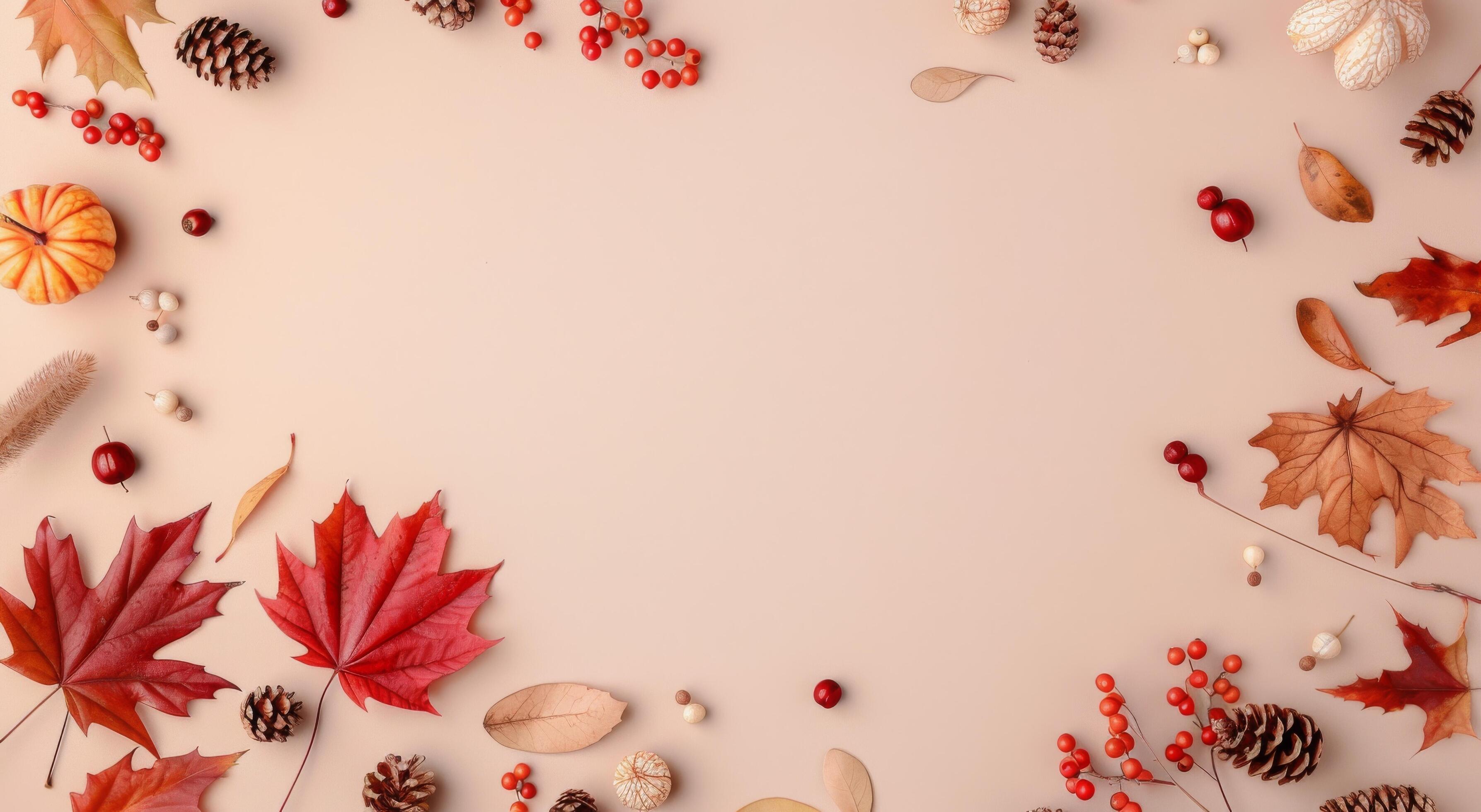 Autumnal Decor on Pink Background Stock Free