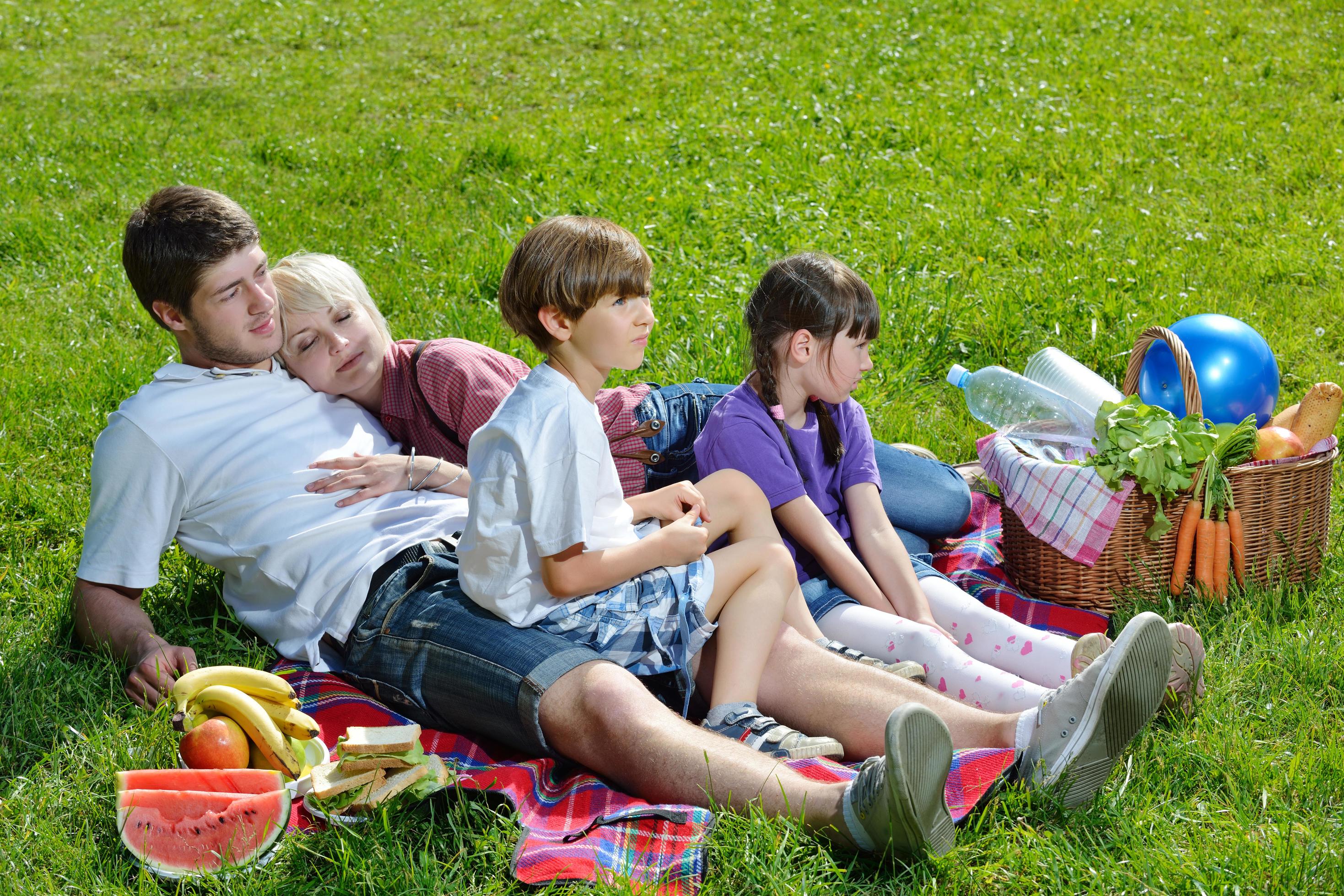 Happy family playing together in a picnic outdoors Stock Free