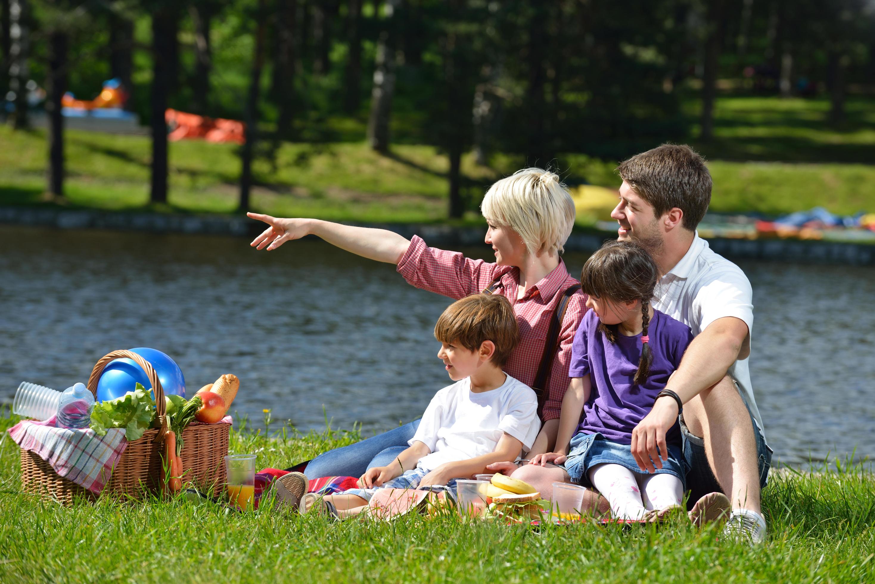 Happy family playing together in a picnic outdoors Stock Free