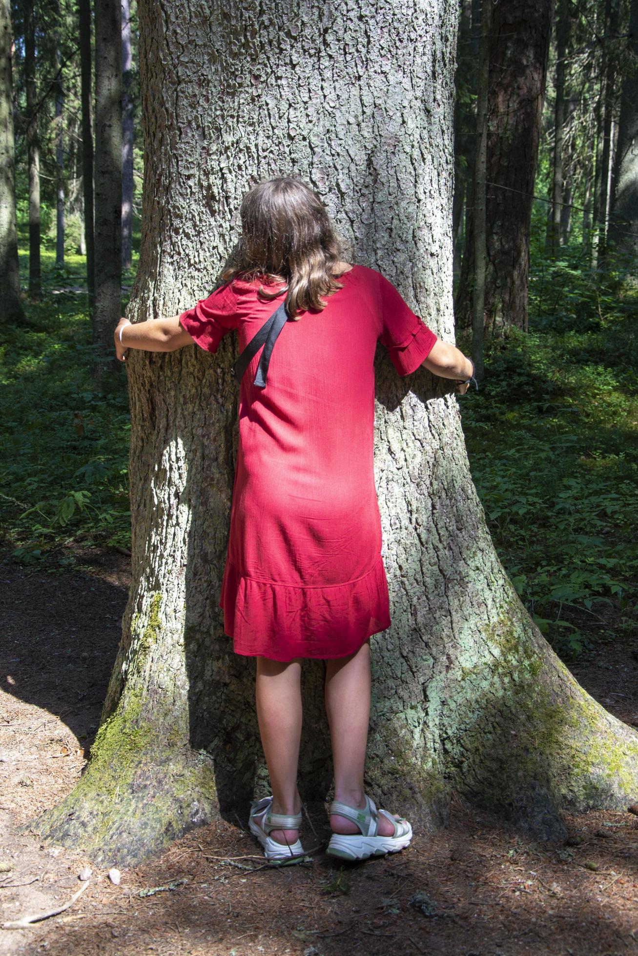 A girl in a red dress hugs a large tree in the forest, rear view, caring for nature Stock Free