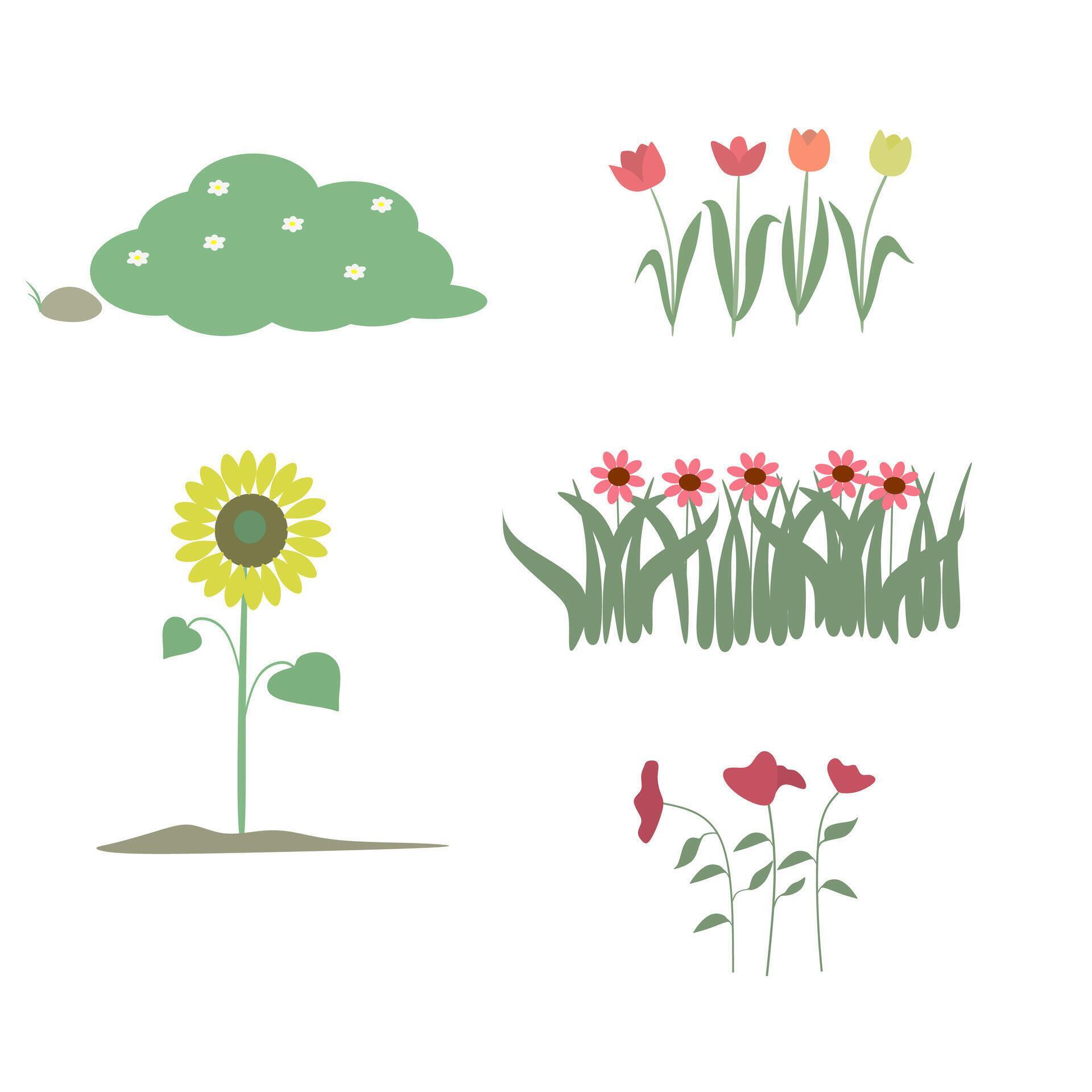 Bush And Flowers Illustration Graphic Vector Pro Vector and Pro SVG