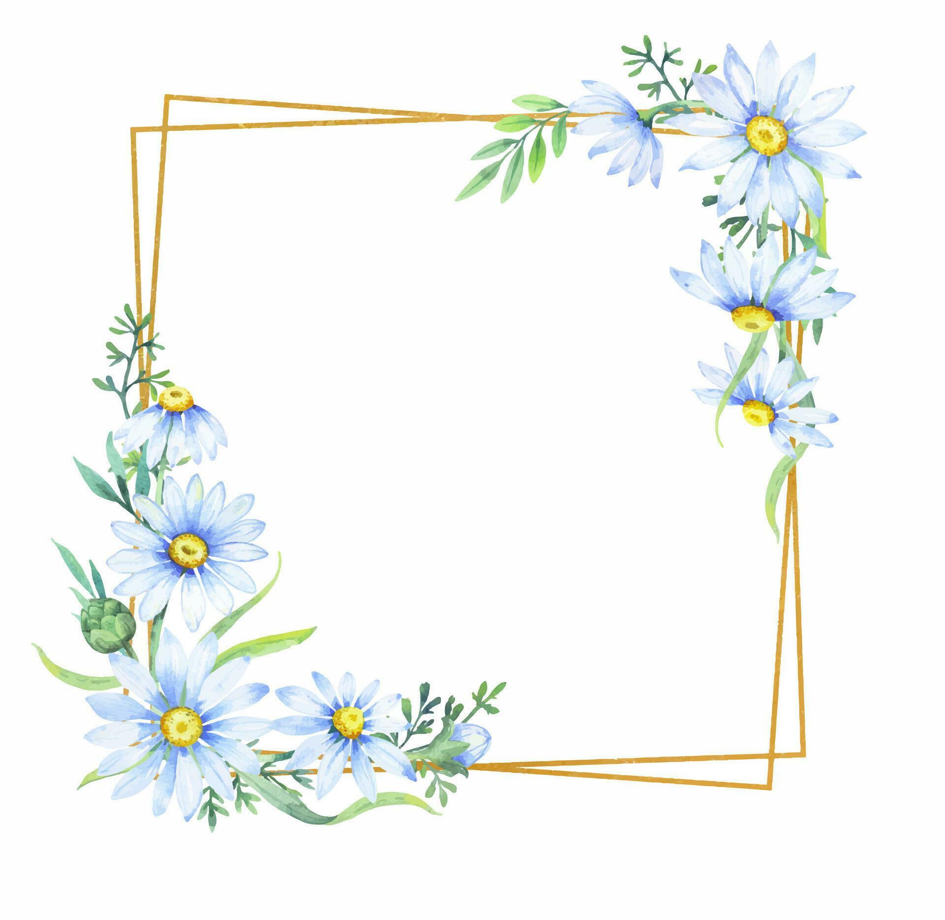 Gold square frame with apothecary chamomile flowers. Floral border of daisies, watercolor illustration Stock Free