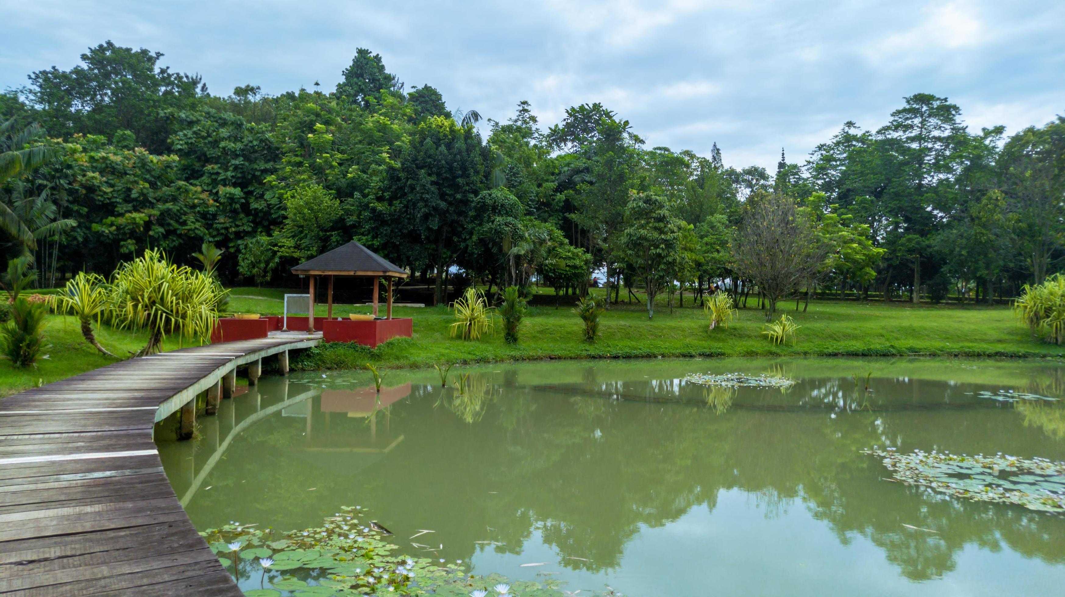 beautiful natural lanscape scenery, lake with wooden bridge, nature wallpaper, landscape background Stock Free