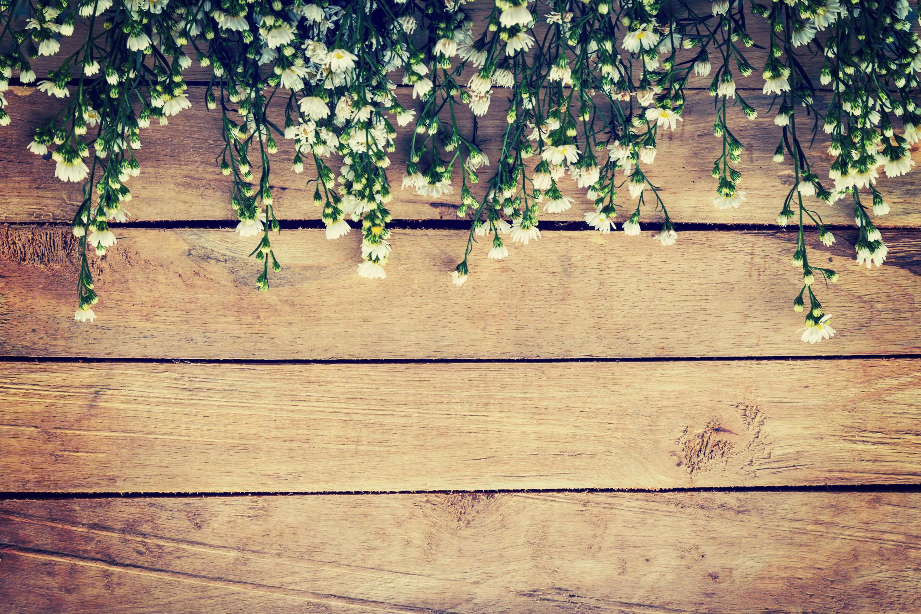 Flowers on wood texture background with copyspace. Vintage style. Stock Free