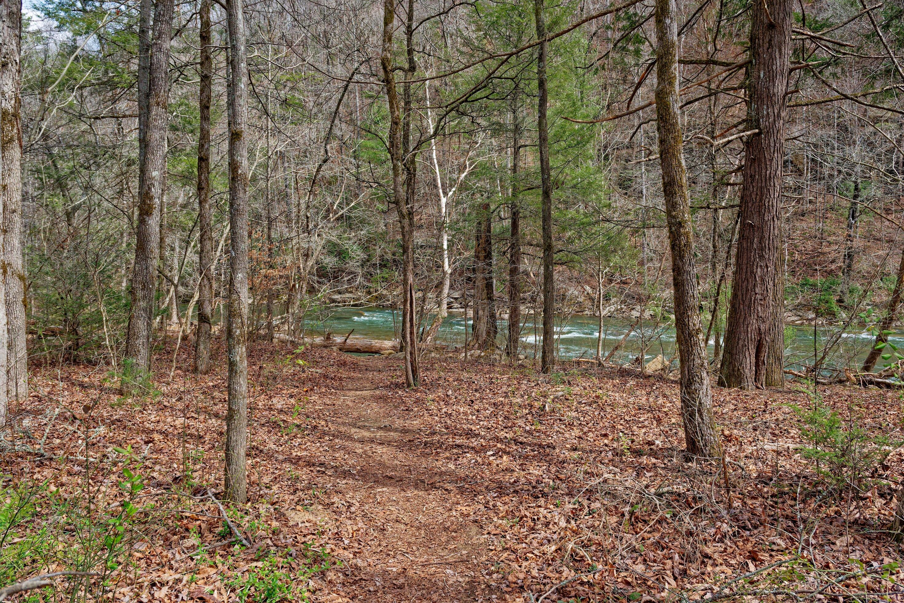 Hiking trail to the river Stock Free