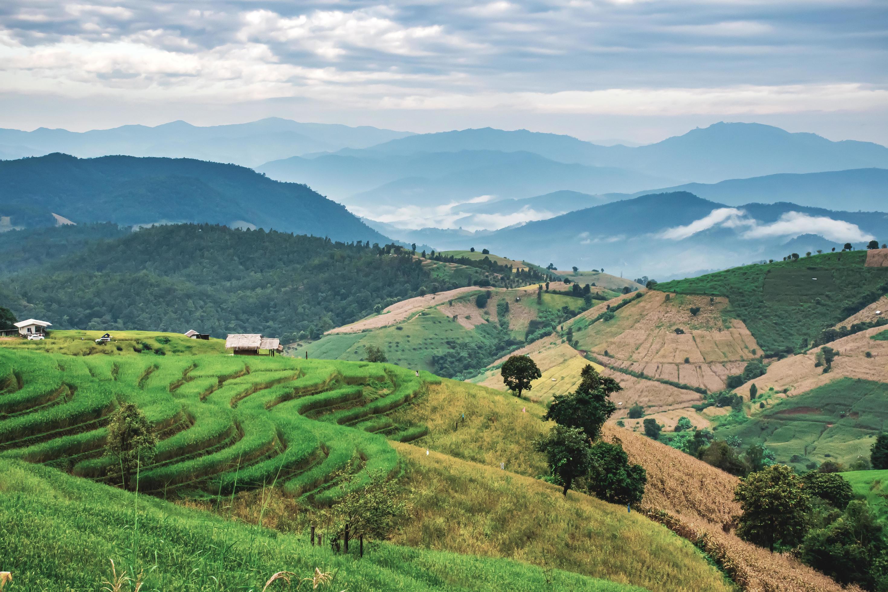 landscape of Rice terrace at Ban pa bong piang in Chiang mai Thailand Stock Free