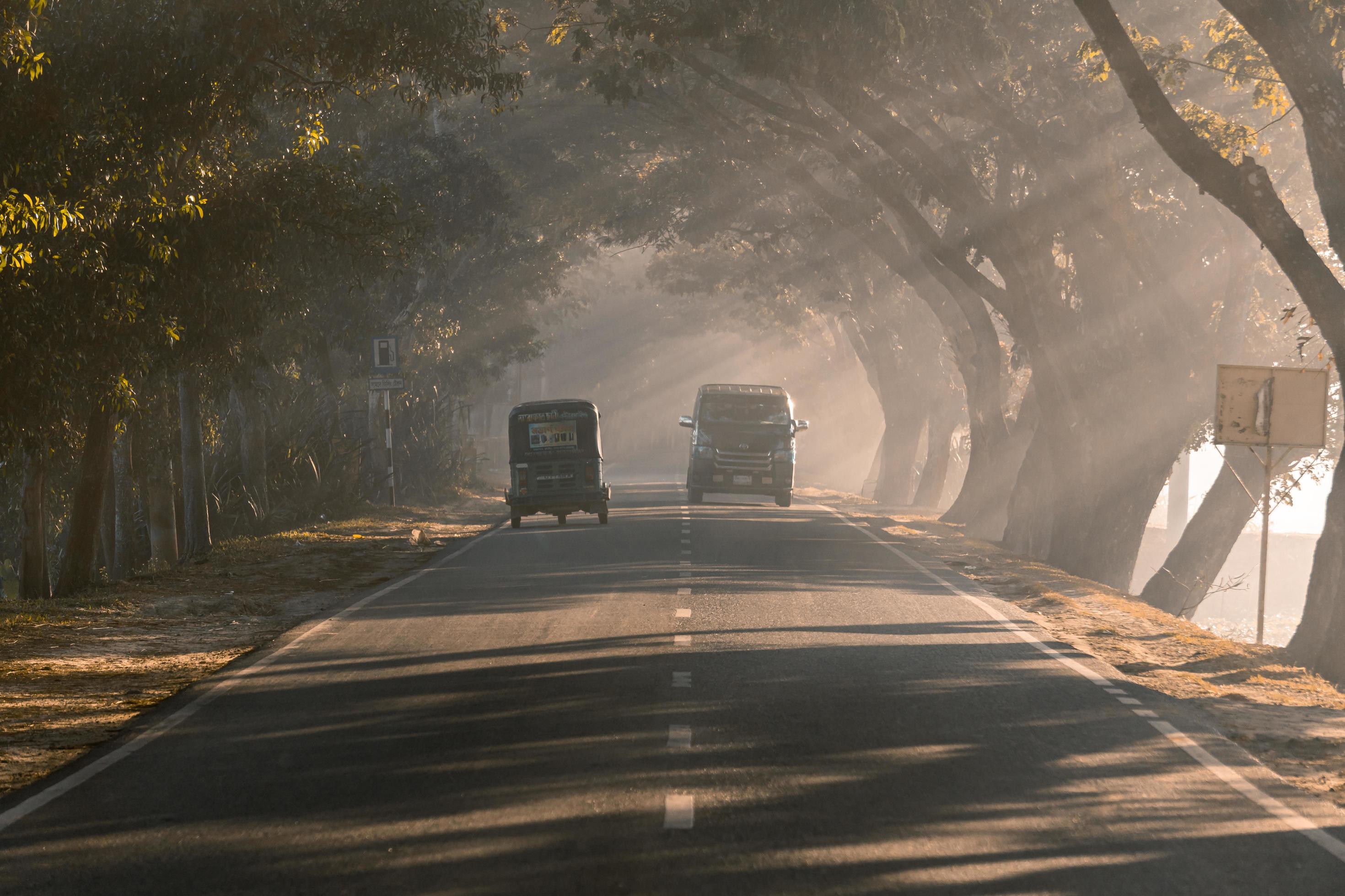 driving through the foggy road Stock Free