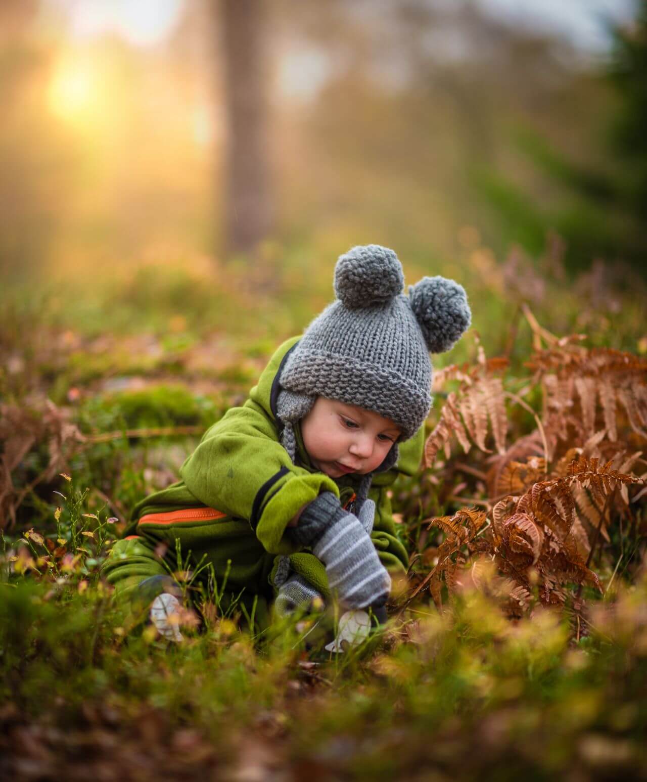 Child Boy Playing Forest Stock Free