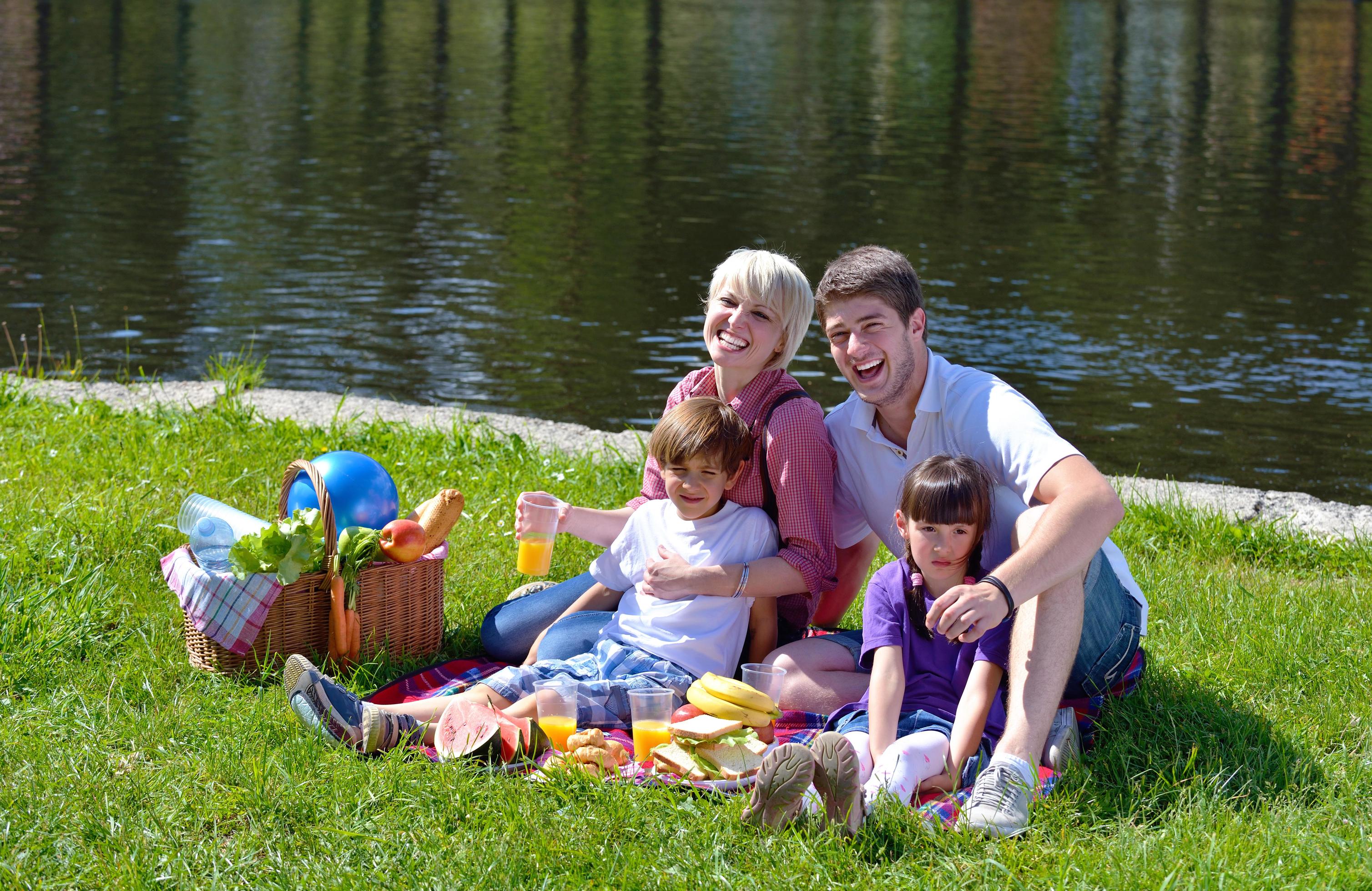 Happy family playing together in a picnic outdoors Stock Free