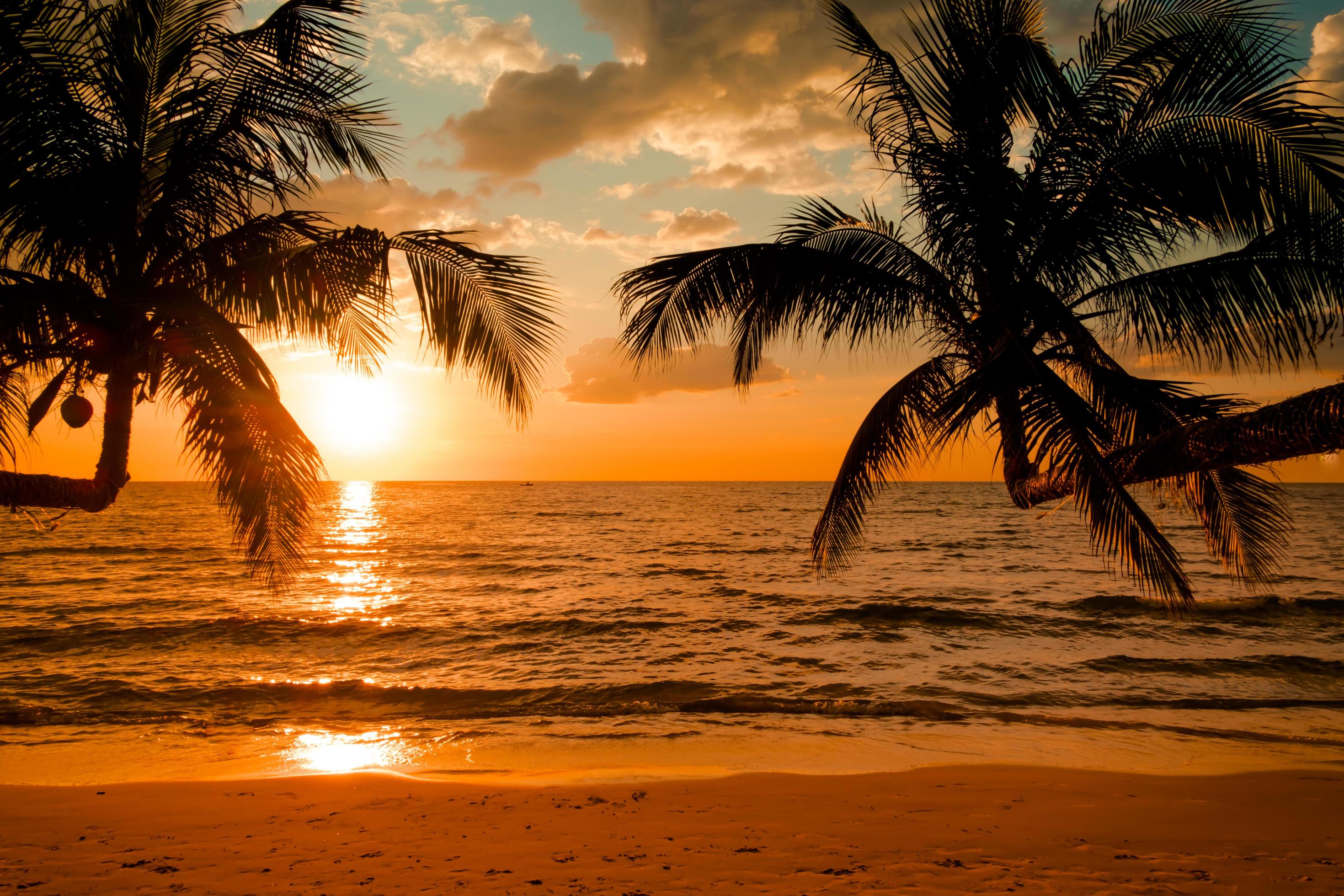 Silhouette of beautiful sunset on the sea beach with palm tree for travel in holiday relax time, Stock Free