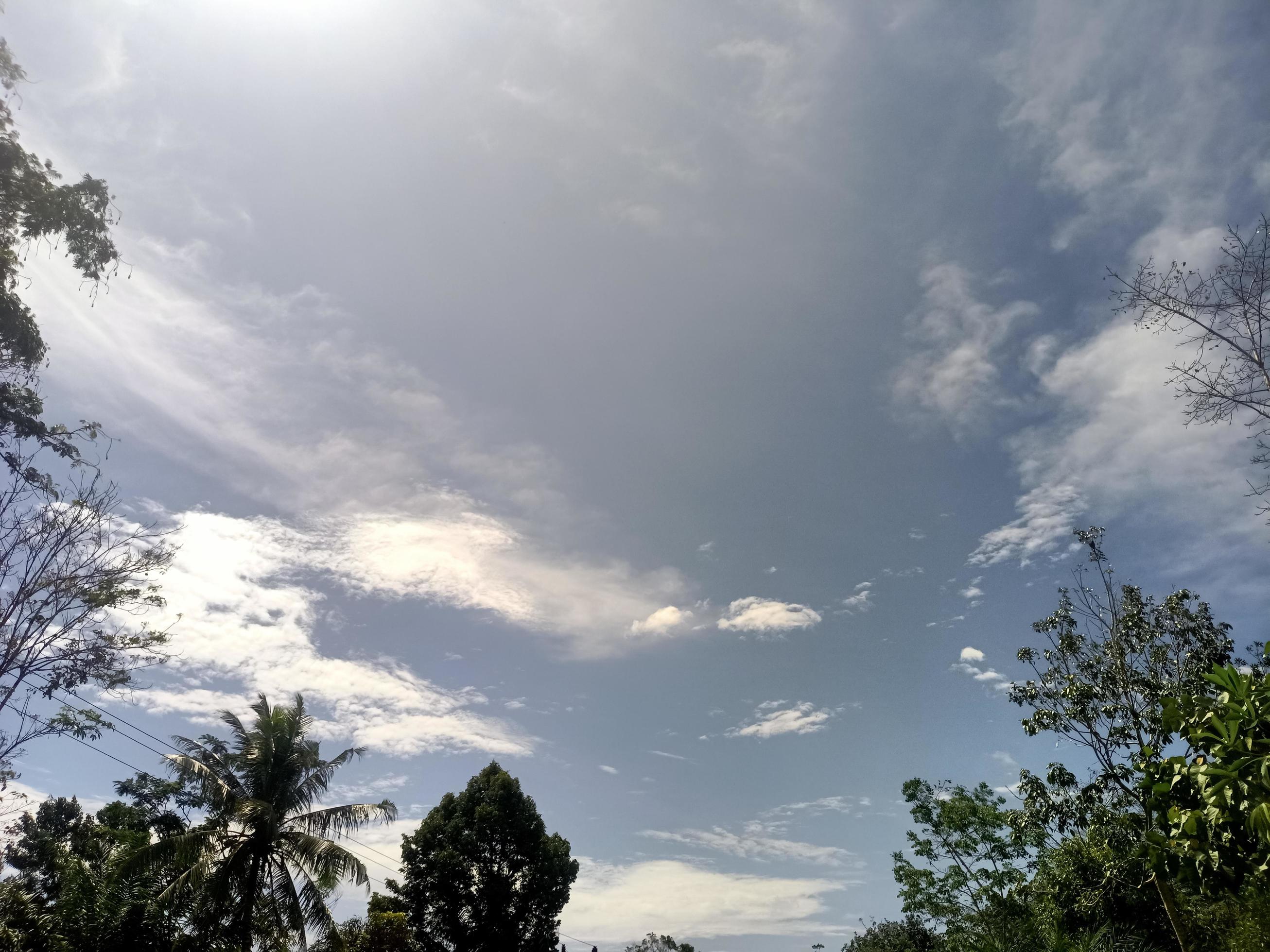 beautiful view clear blue sky and lots of natural green trees Stock Free