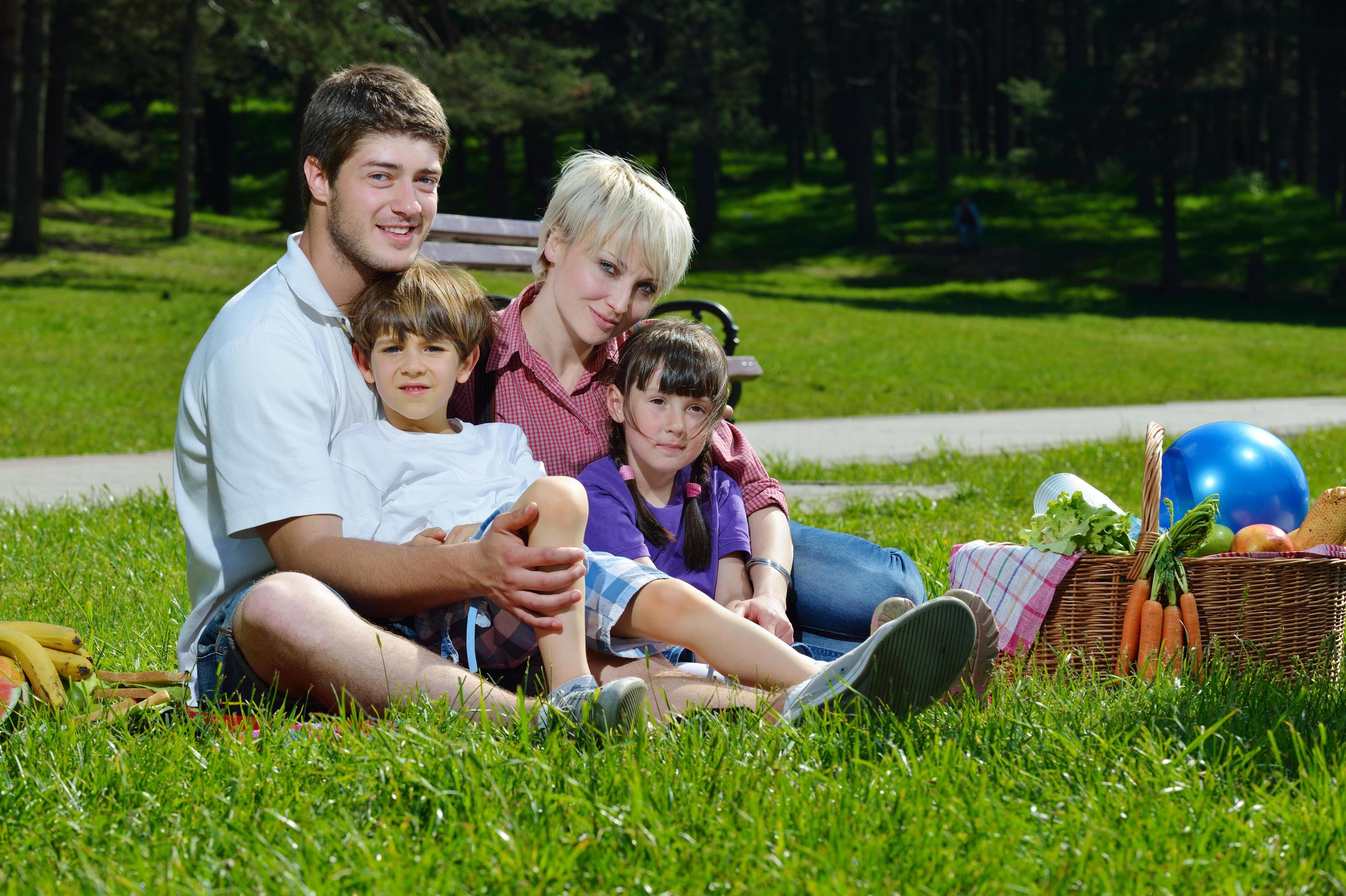 Happy family playing together in a picnic outdoors Stock Free