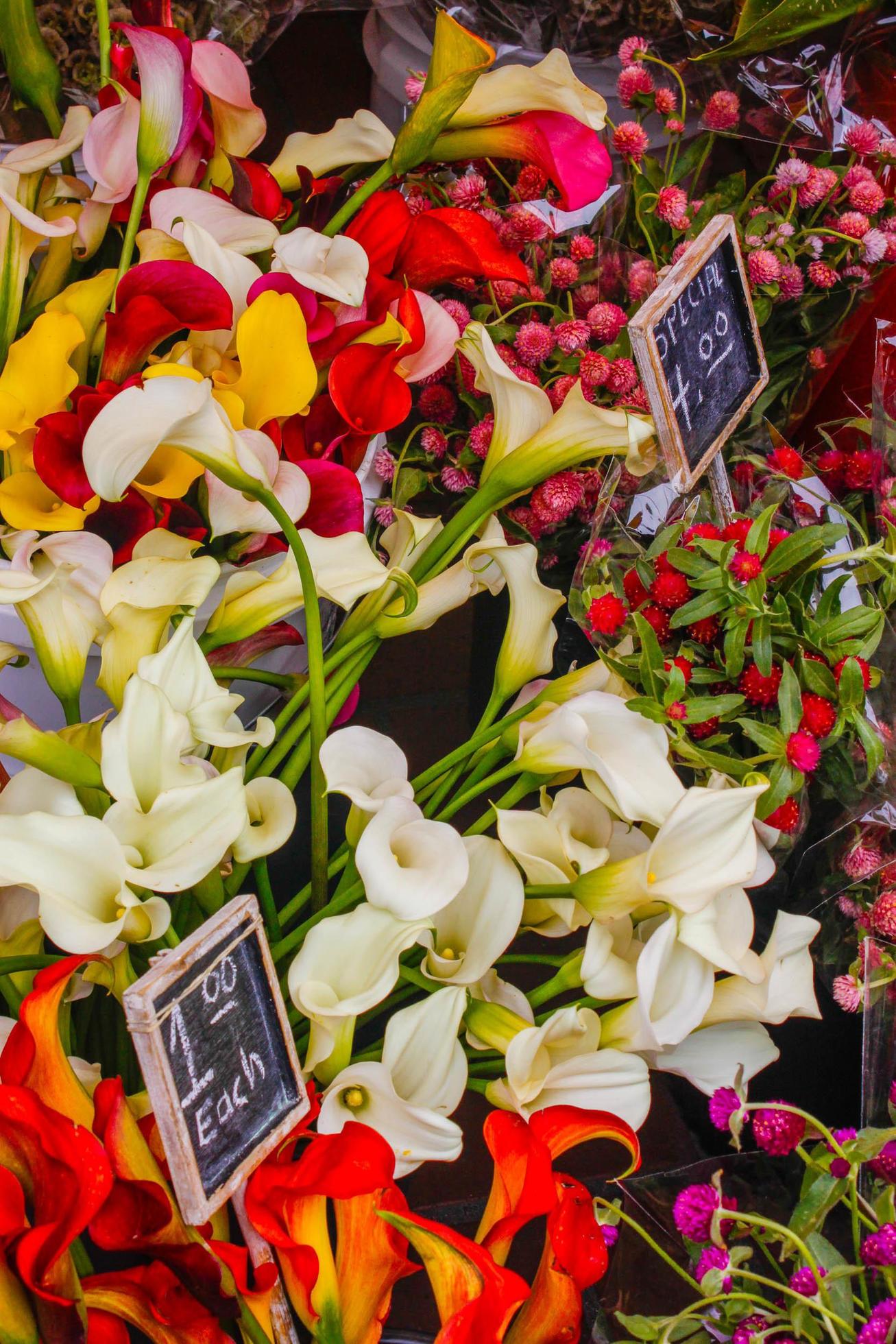 Farmers Market Flowers Stock Free