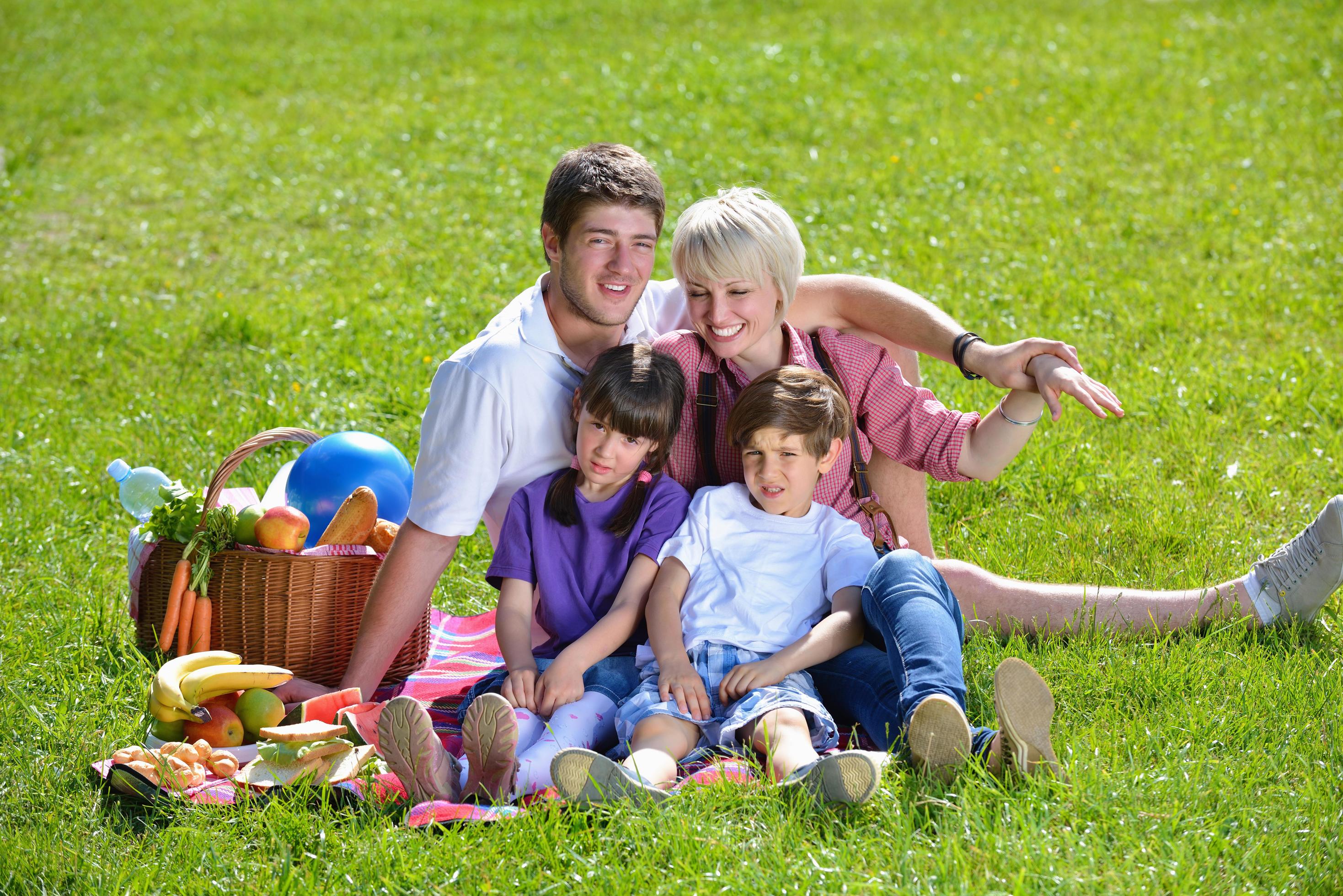 Happy family playing together in a picnic outdoors Stock Free