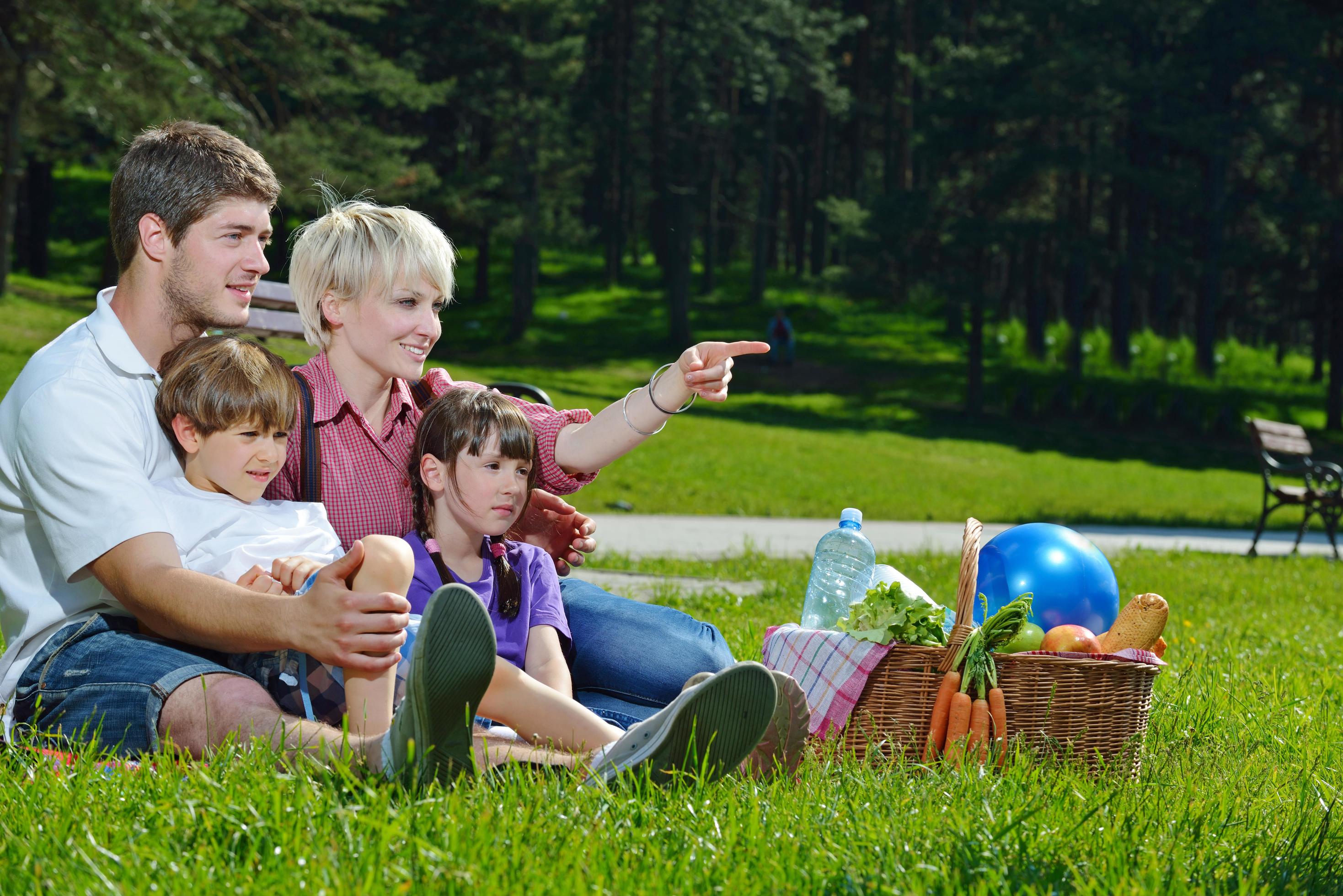 Happy family playing together in a picnic outdoors Stock Free