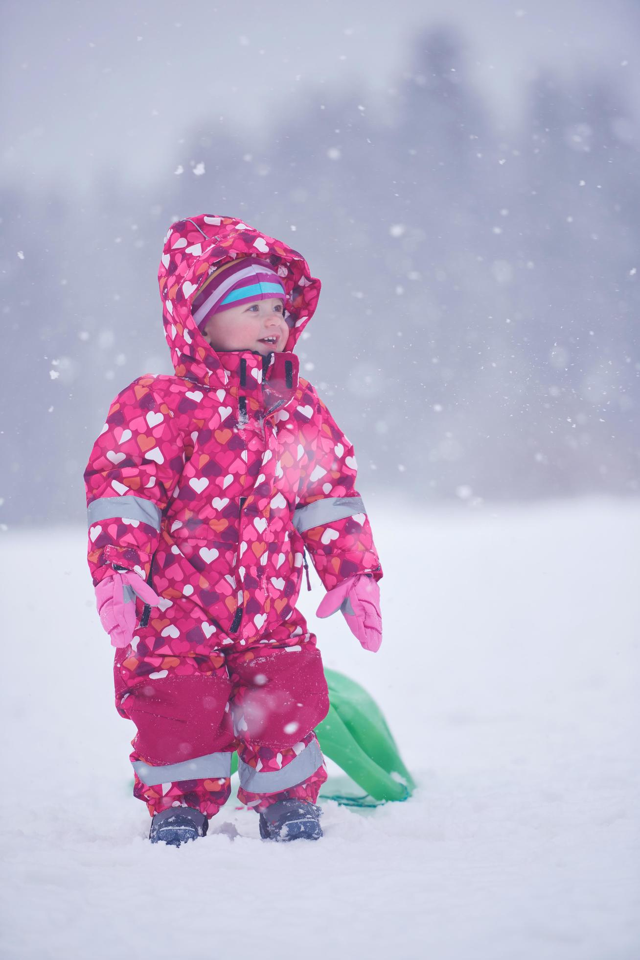 Family in winter landscape Stock Free