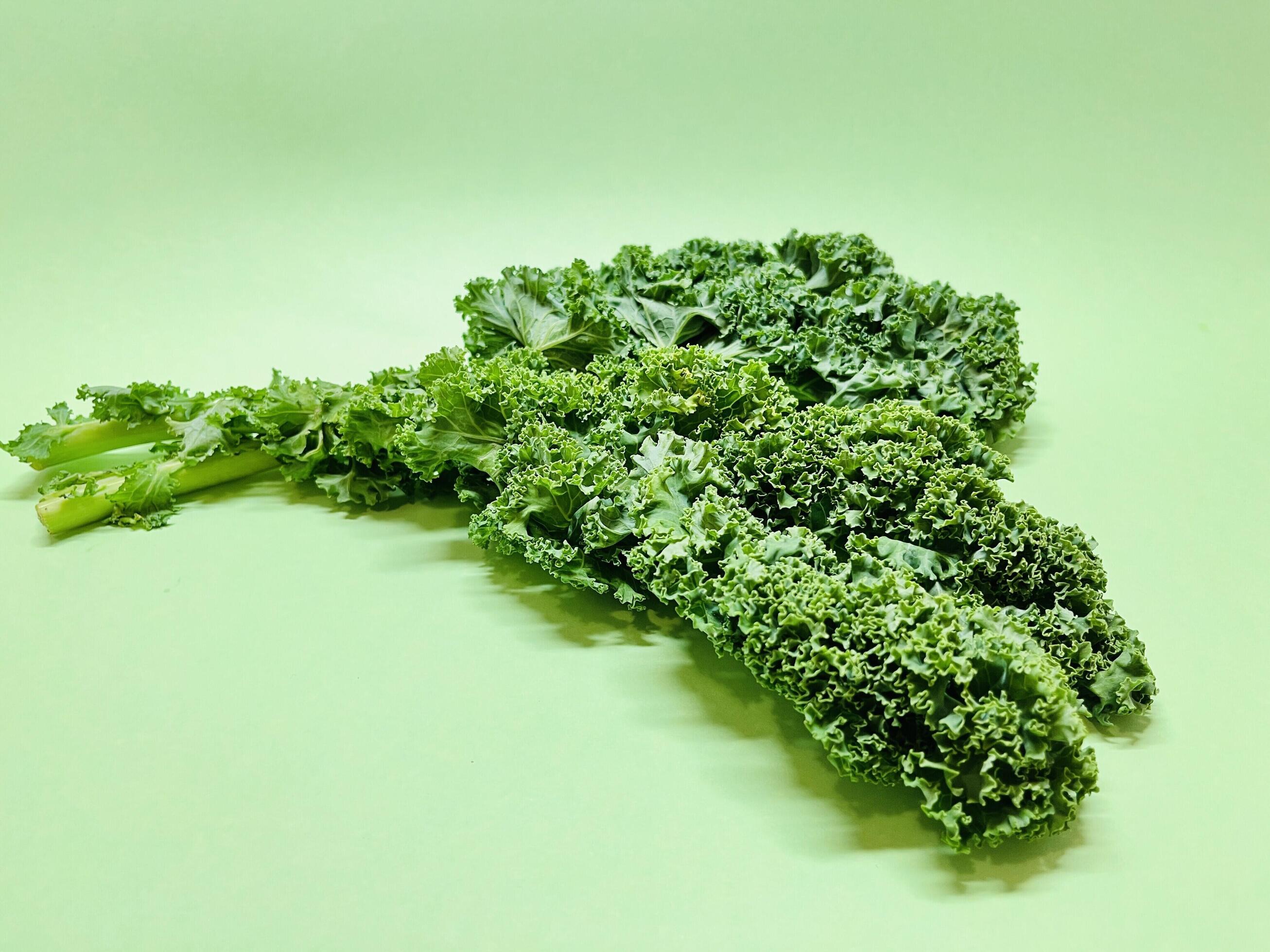 Kale leaf salad vegetable isolated on green background. Creative layout made of kale closeup. Food concept. Stock Free