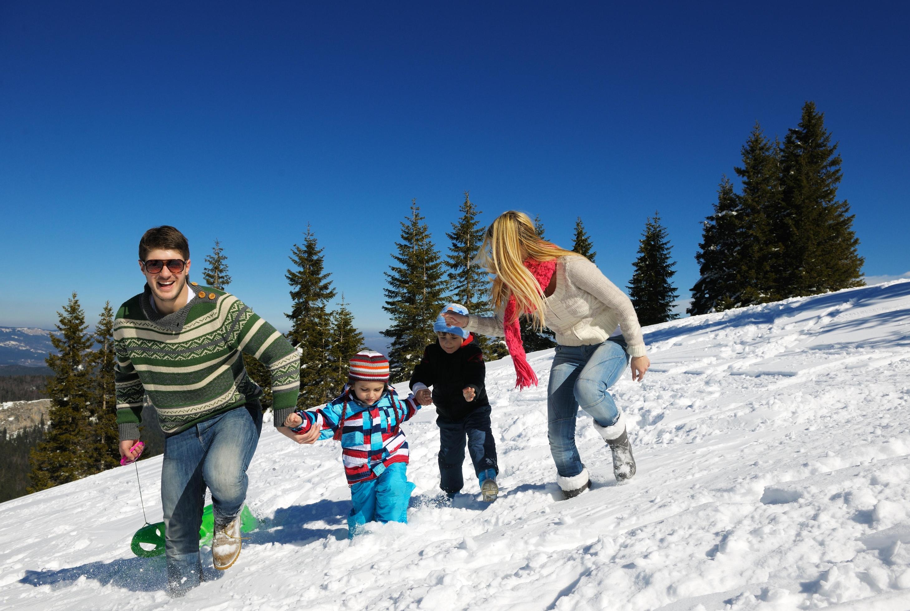 family having fun on fresh snow at winter Stock Free