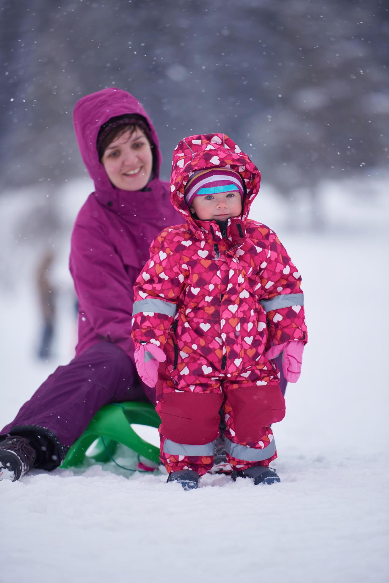 Family in winter landscape Stock Free