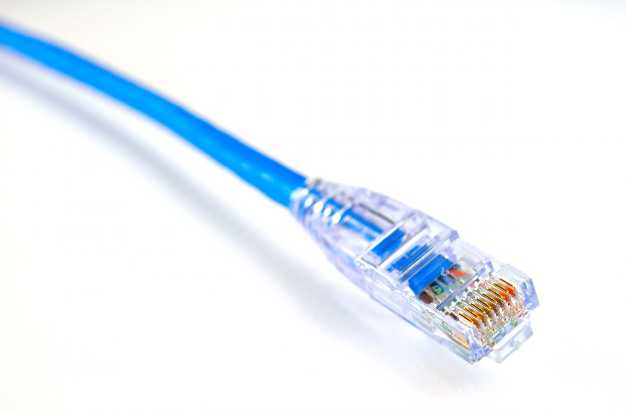 Blue Ethernet Cable Against White Background Stock Free