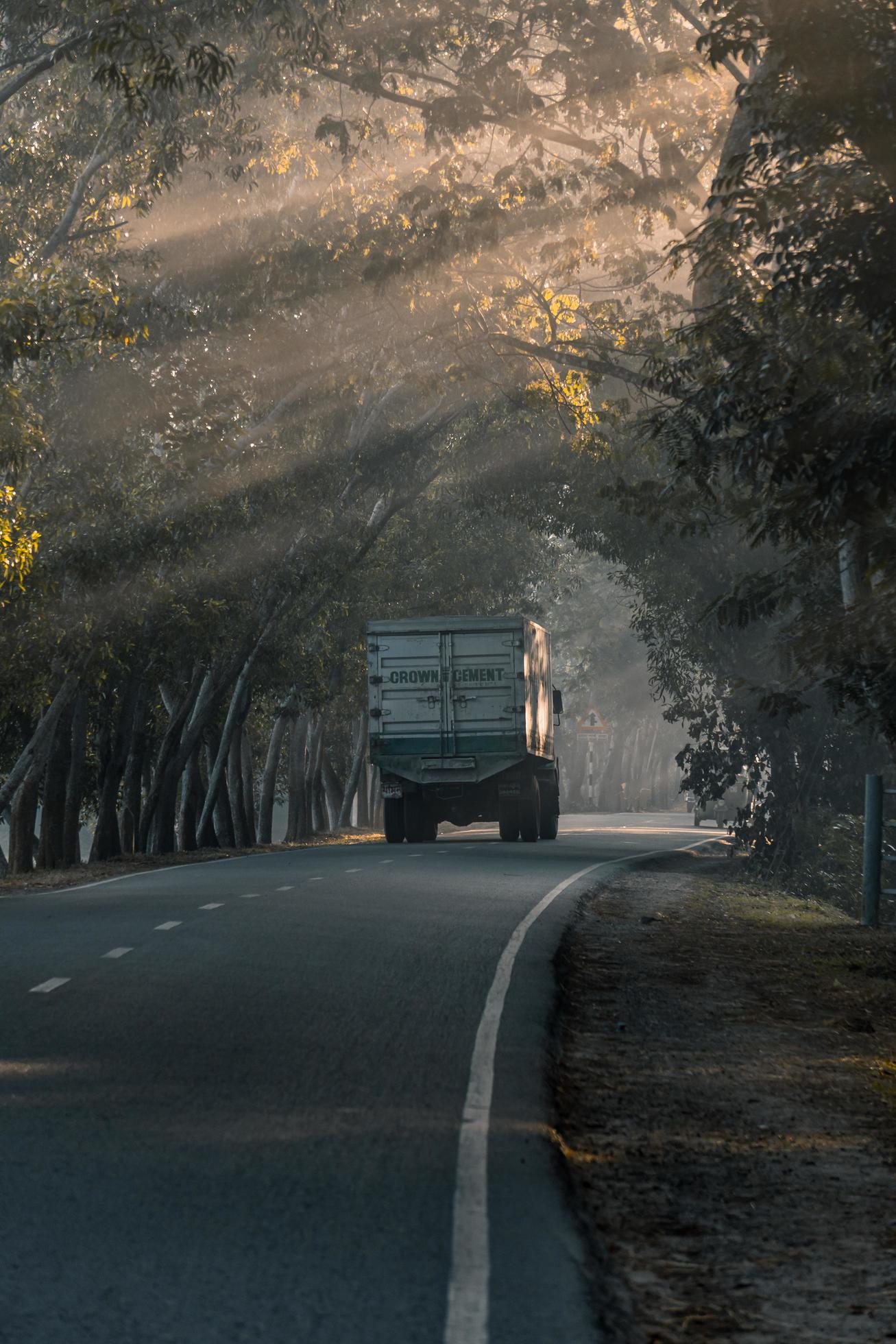 driving through the foggy road Stock Free