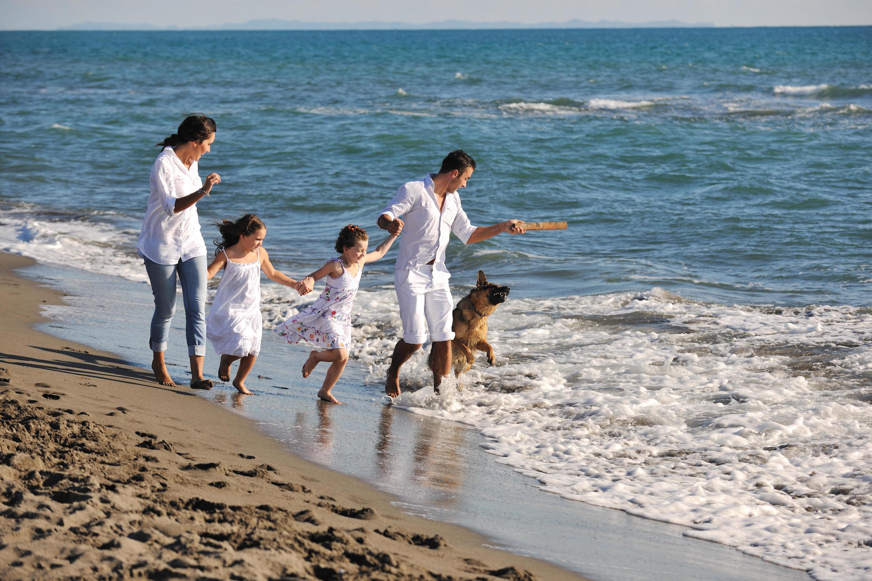 happy family playing with dog on beach Stock Free