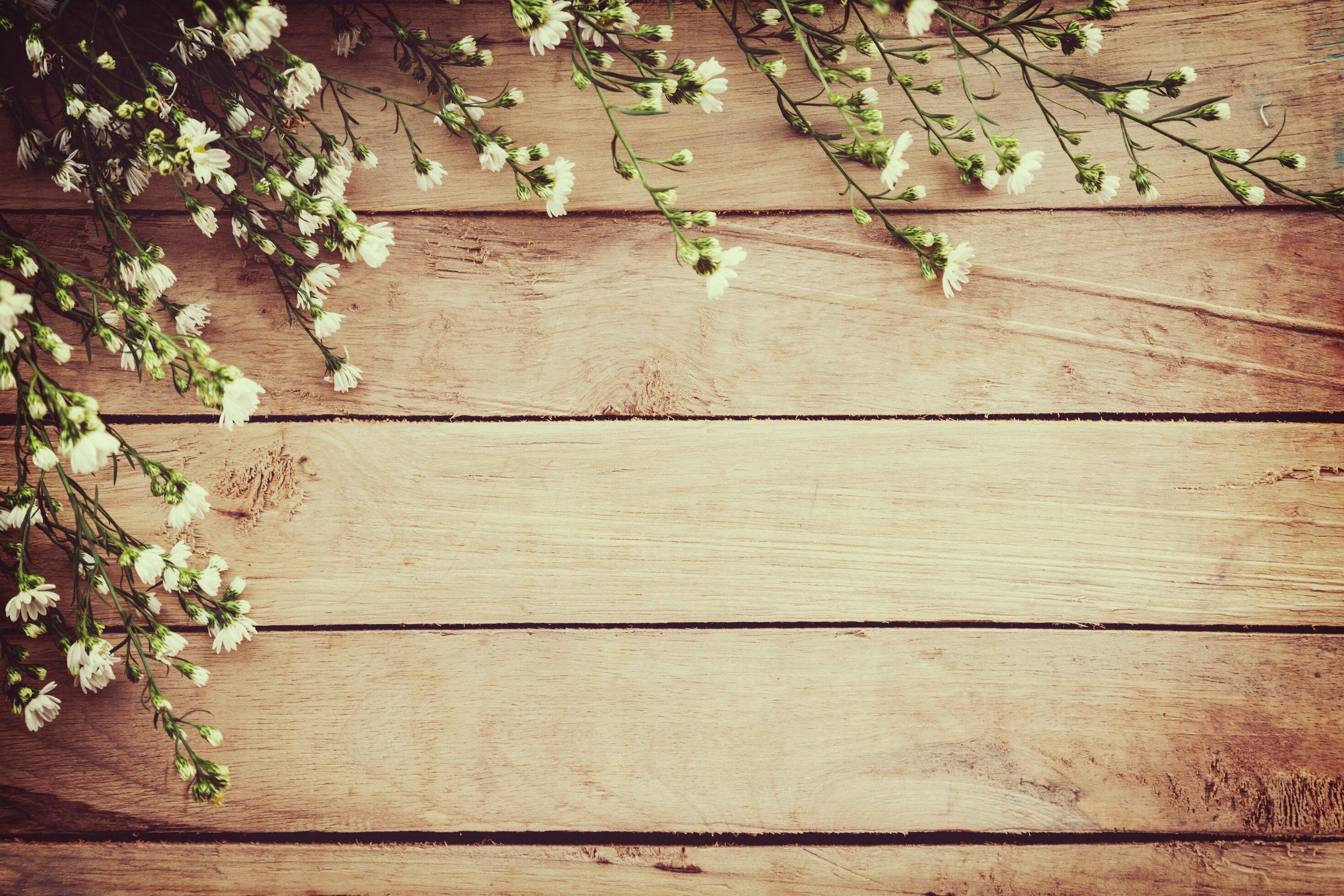 White flower on grunge wood board background with space. Stock Free