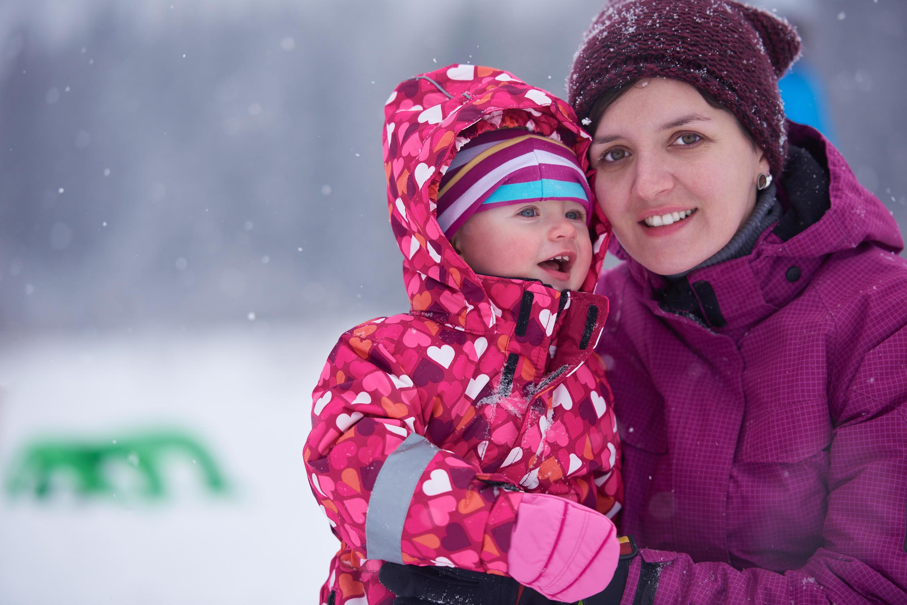 Family in winter landscape Stock Free