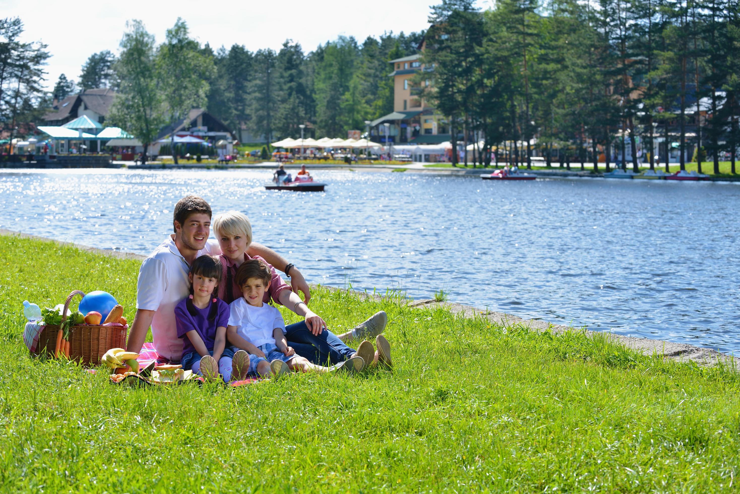 Happy family playing together in a picnic outdoors Stock Free