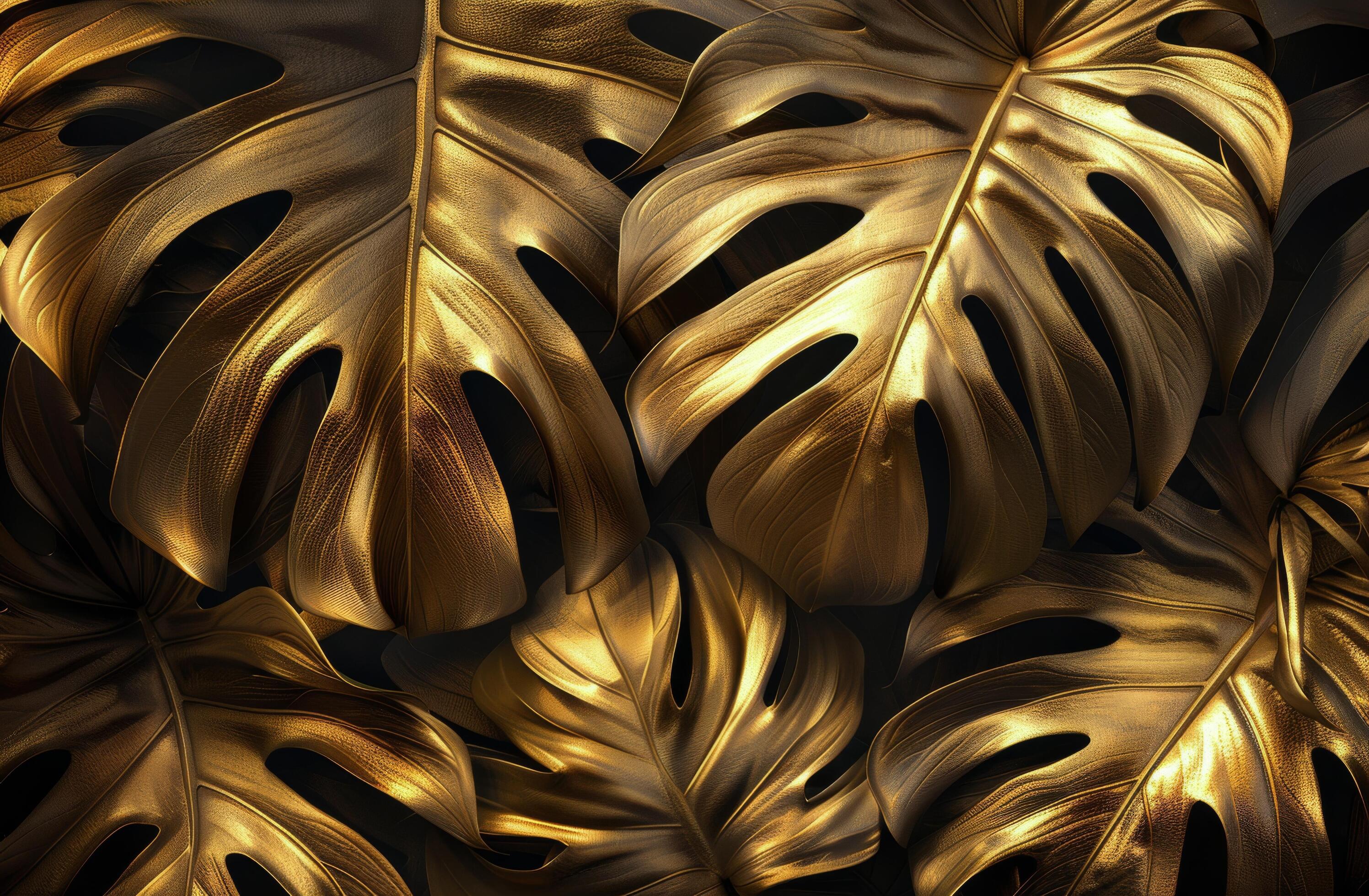 
									Close Up of Golden Monstera Leaves on a Dark Background Stock Free